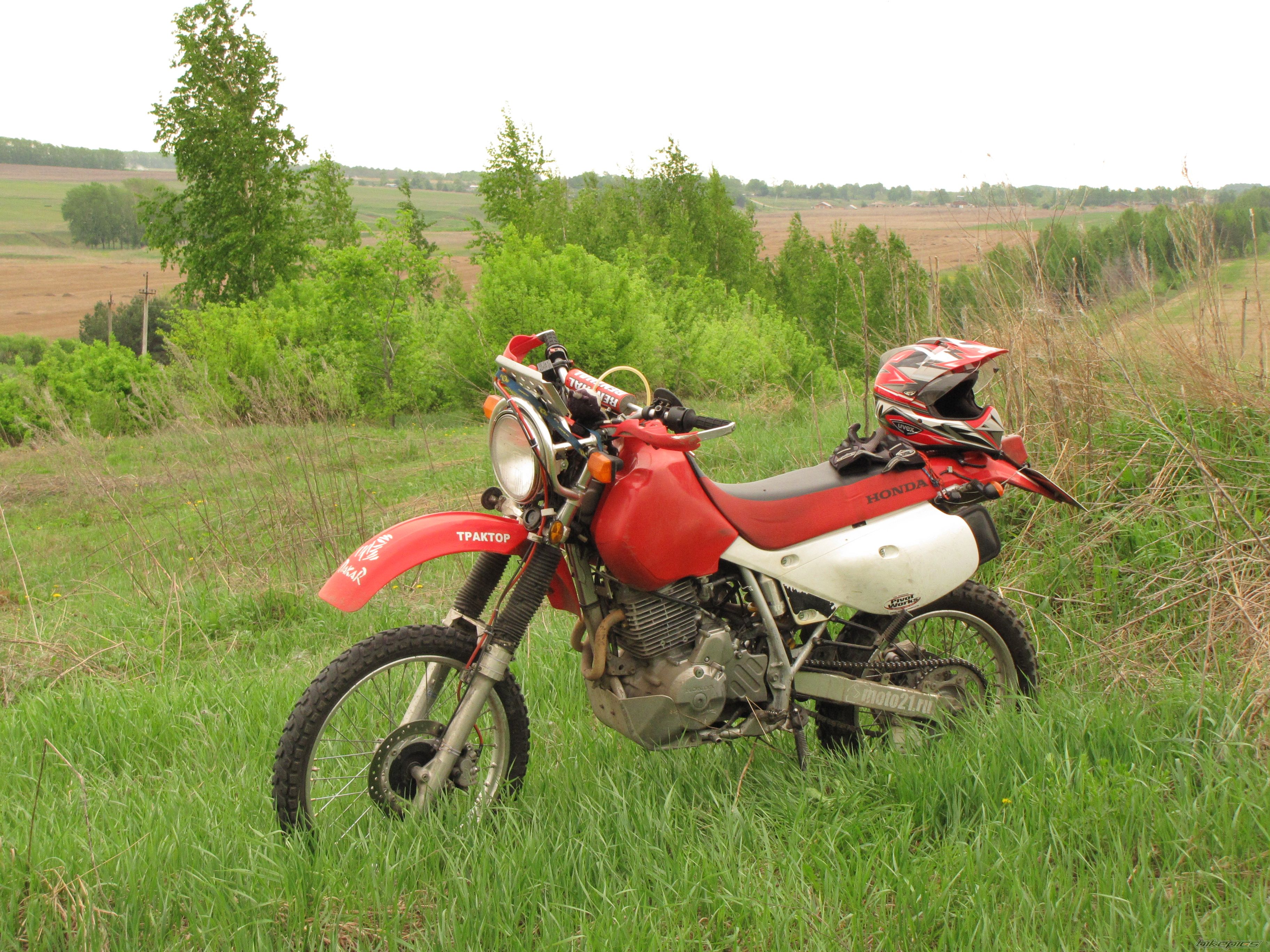 Photo 2603358