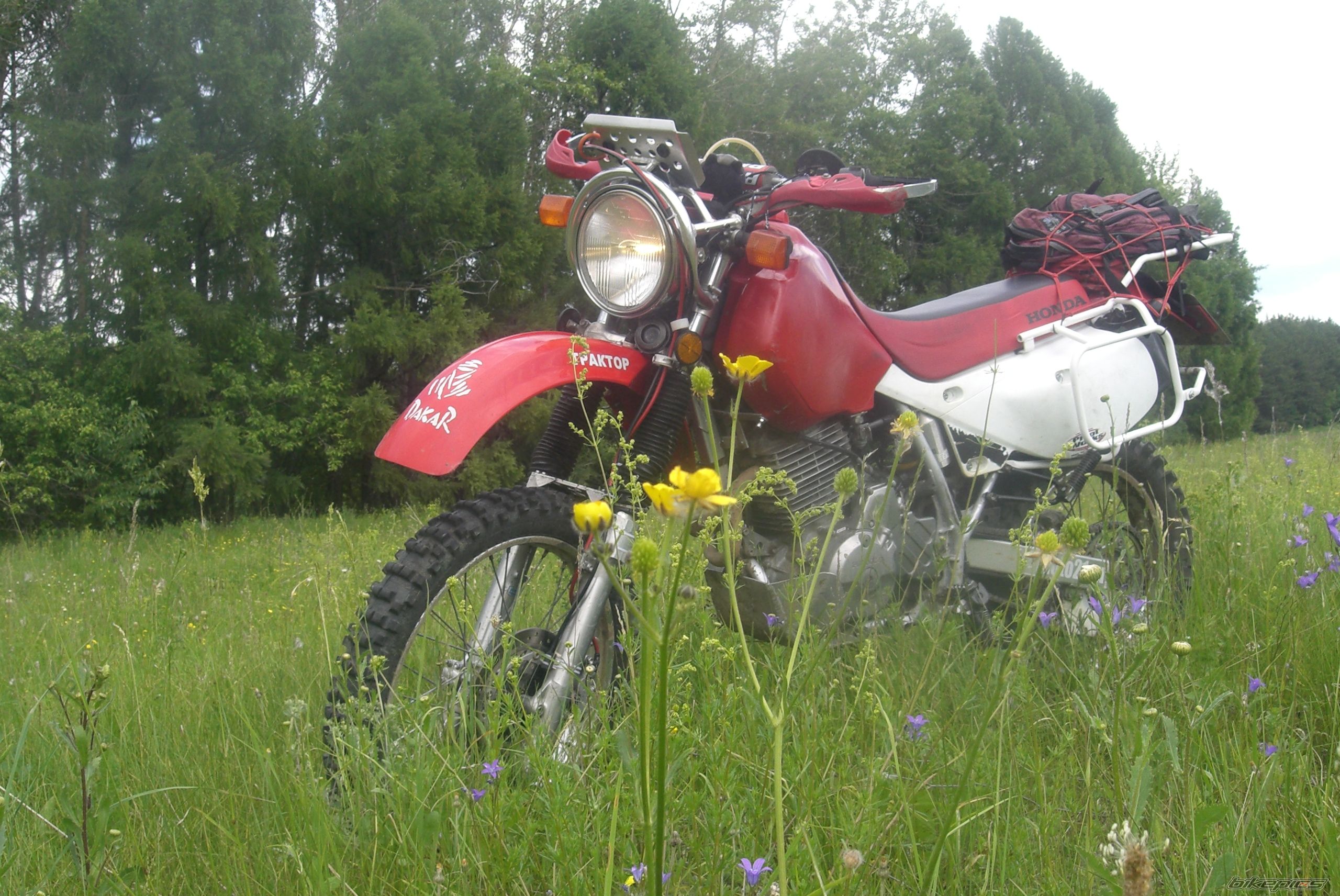 Photo 2603362