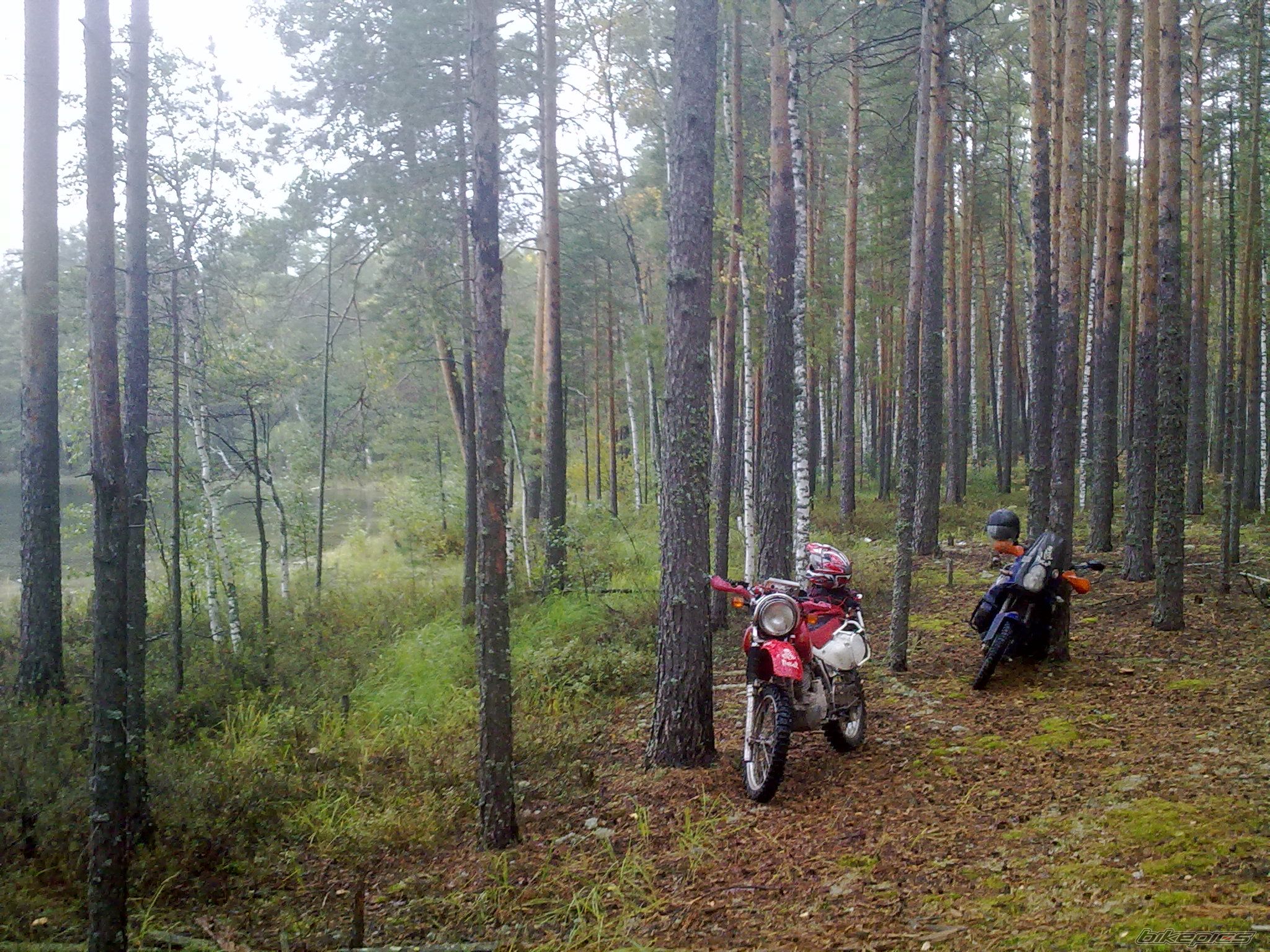 Photo 2603372