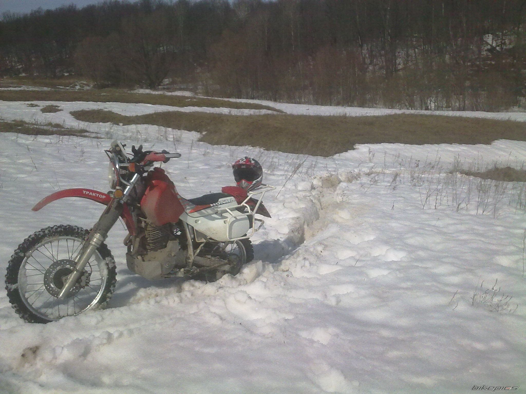 Photo 2603374