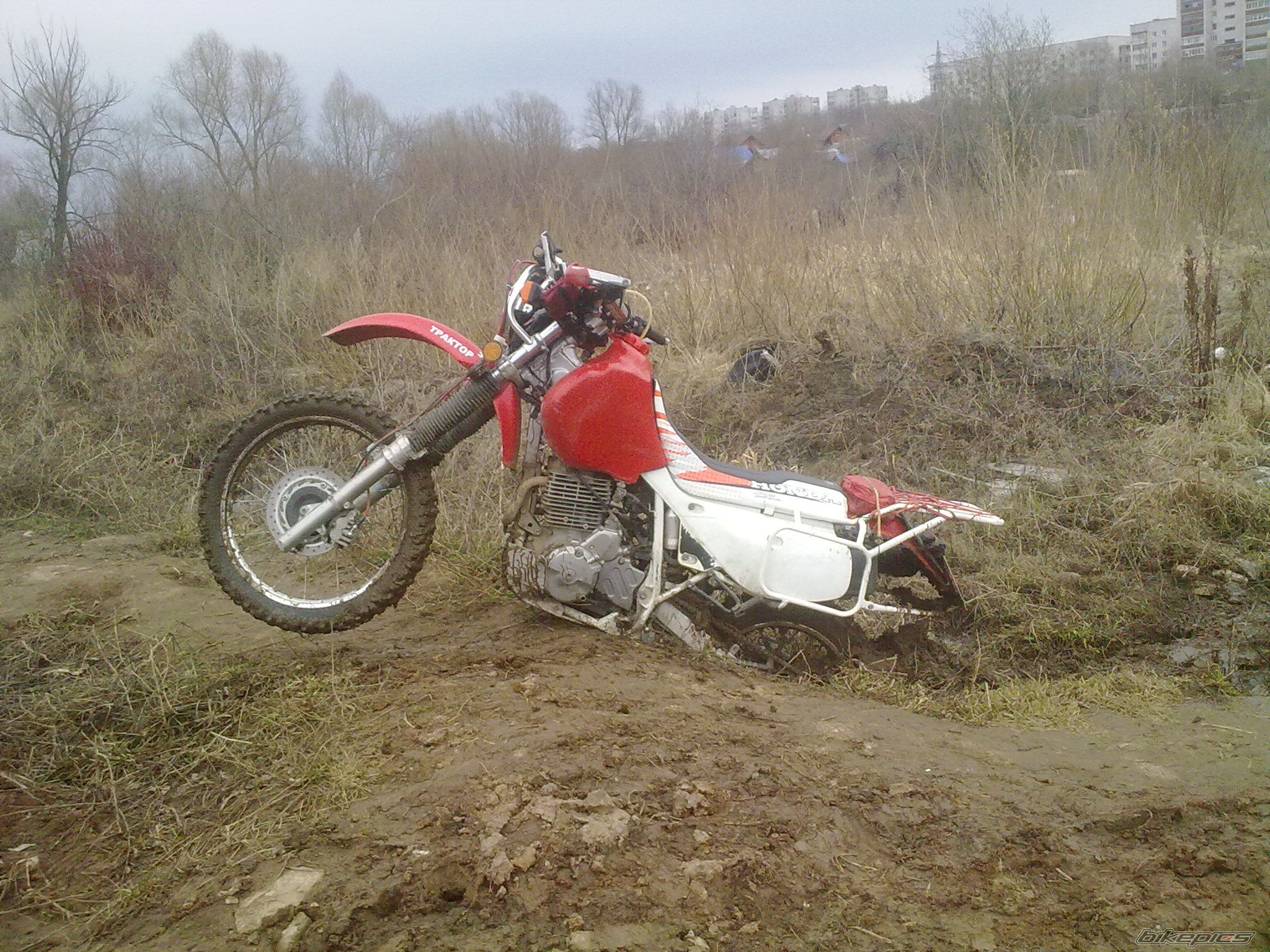 Photo 2603376