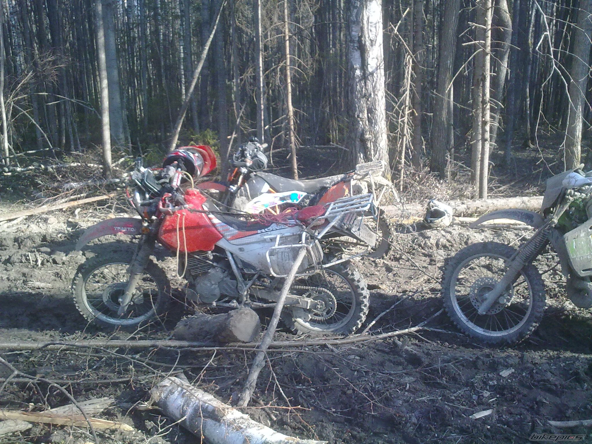 Photo 2603387