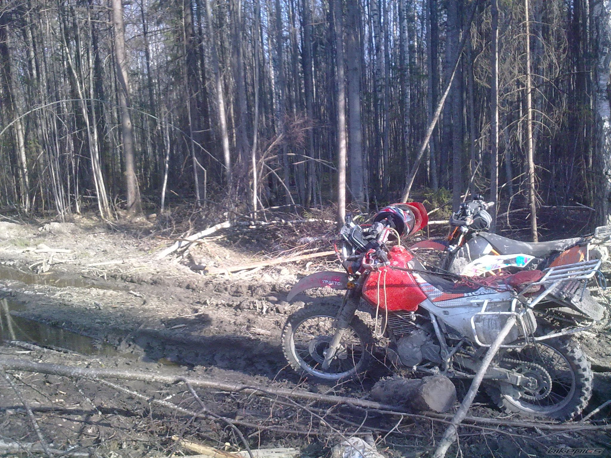 Photo 2603388