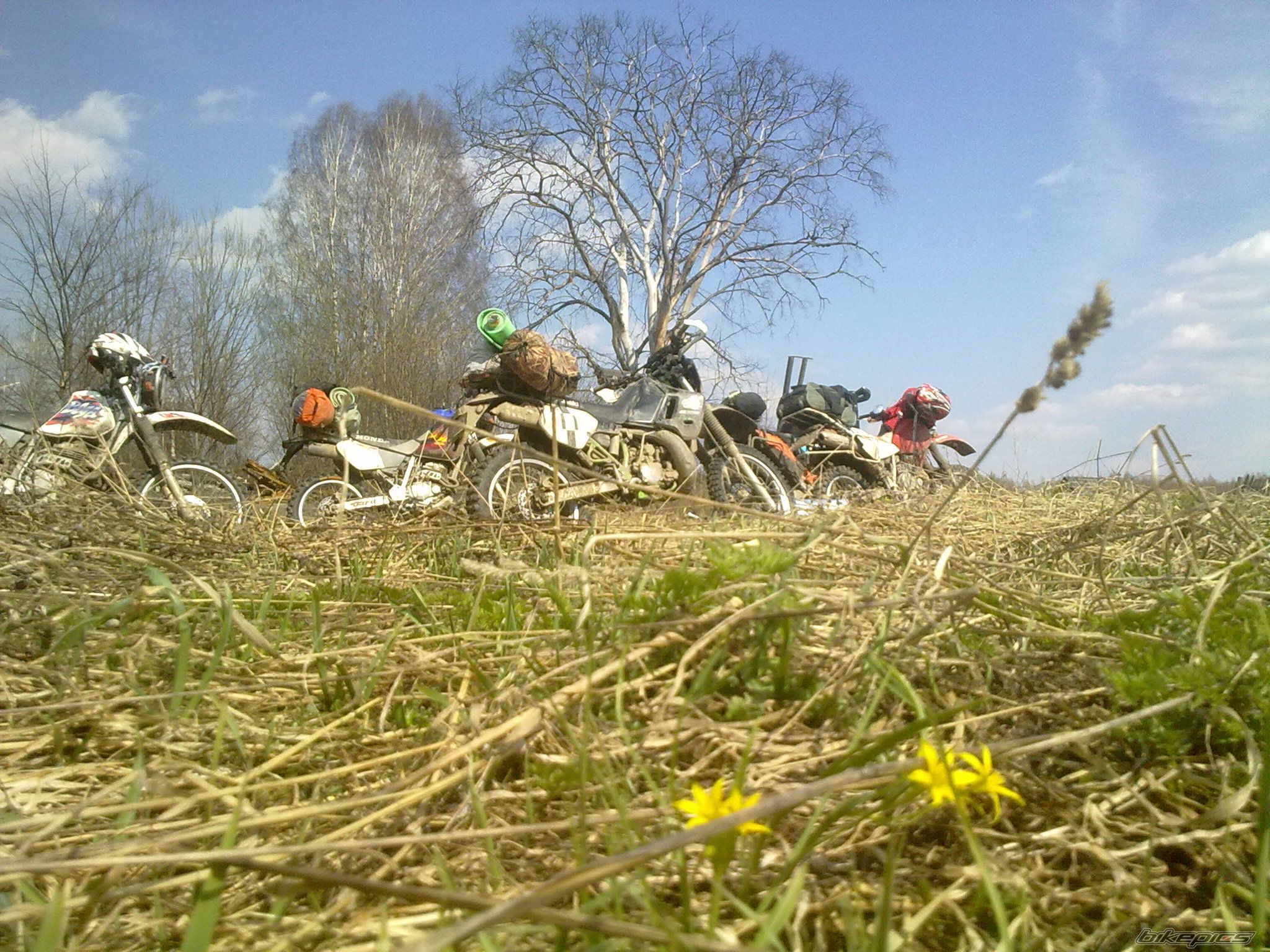Photo 2603390
