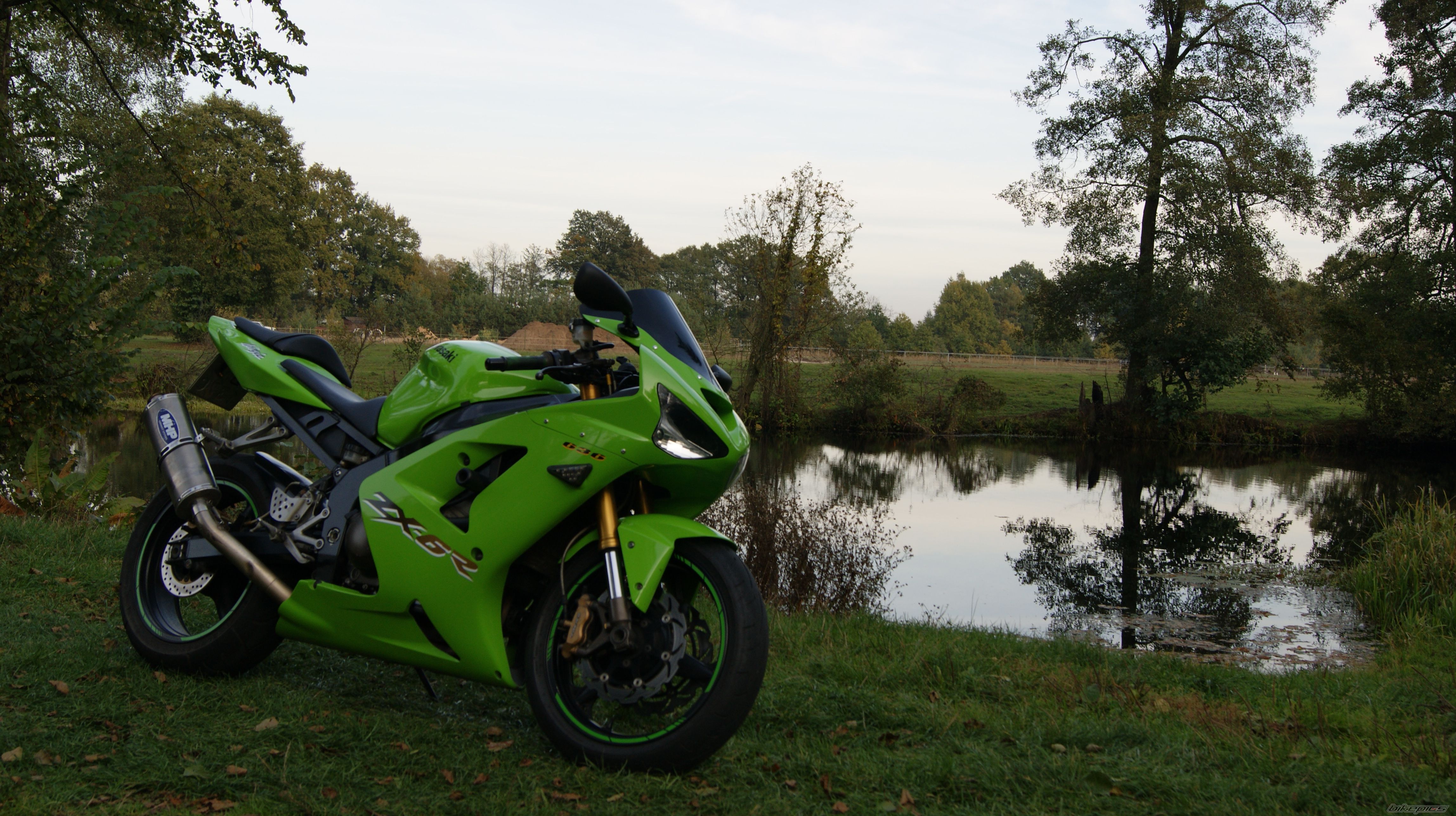 Photo 2603440