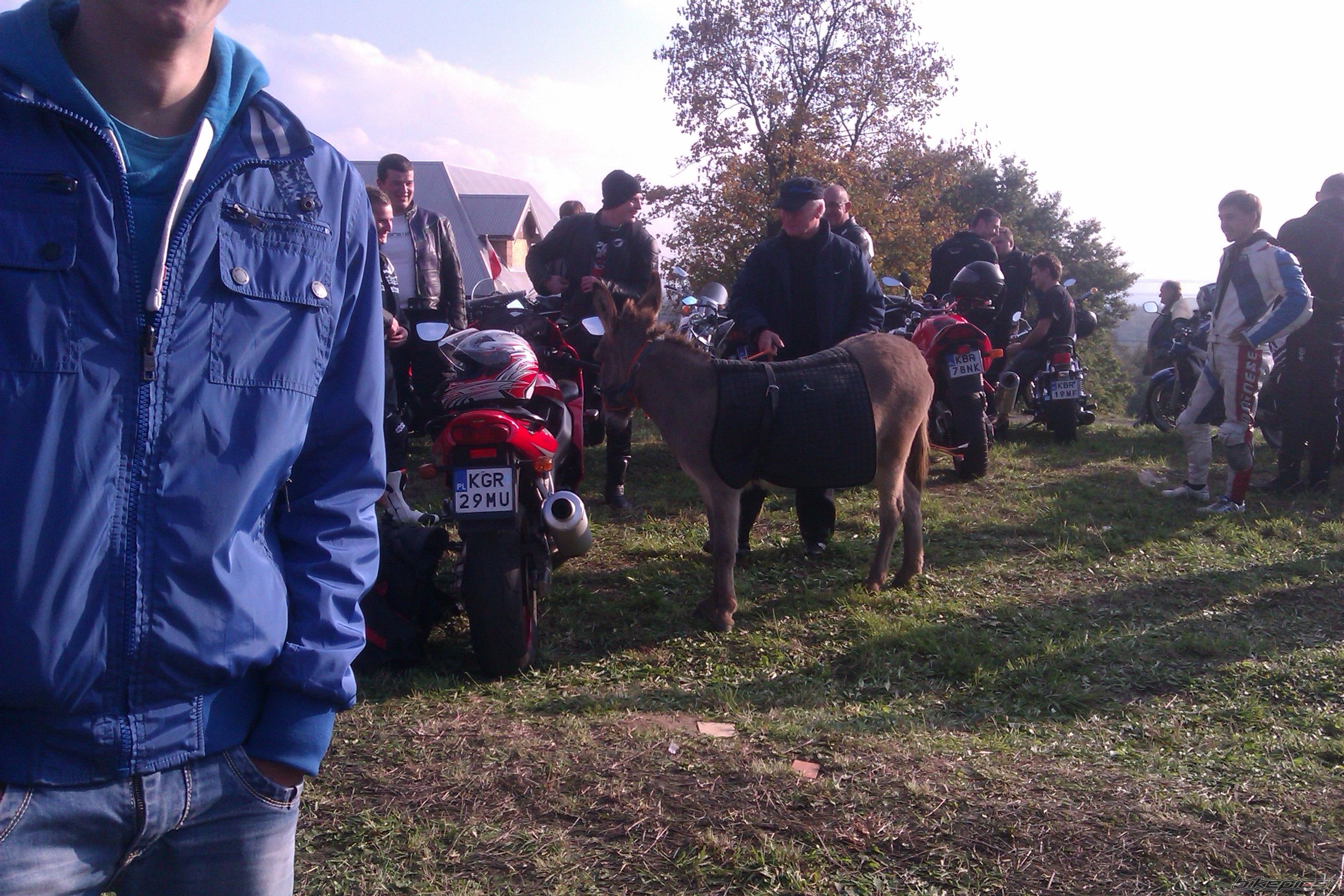 Photo 2603479