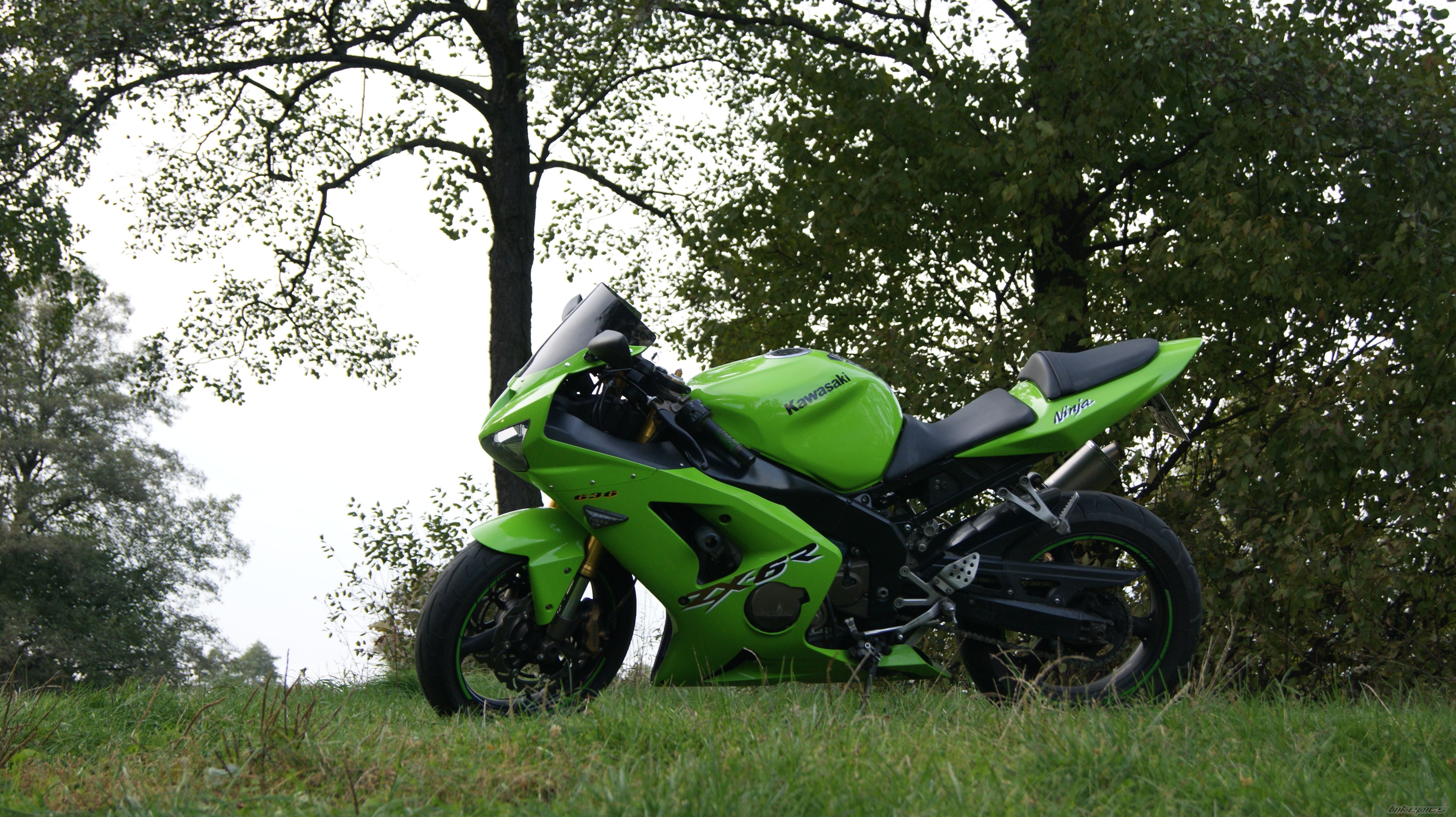 Photo 2603567