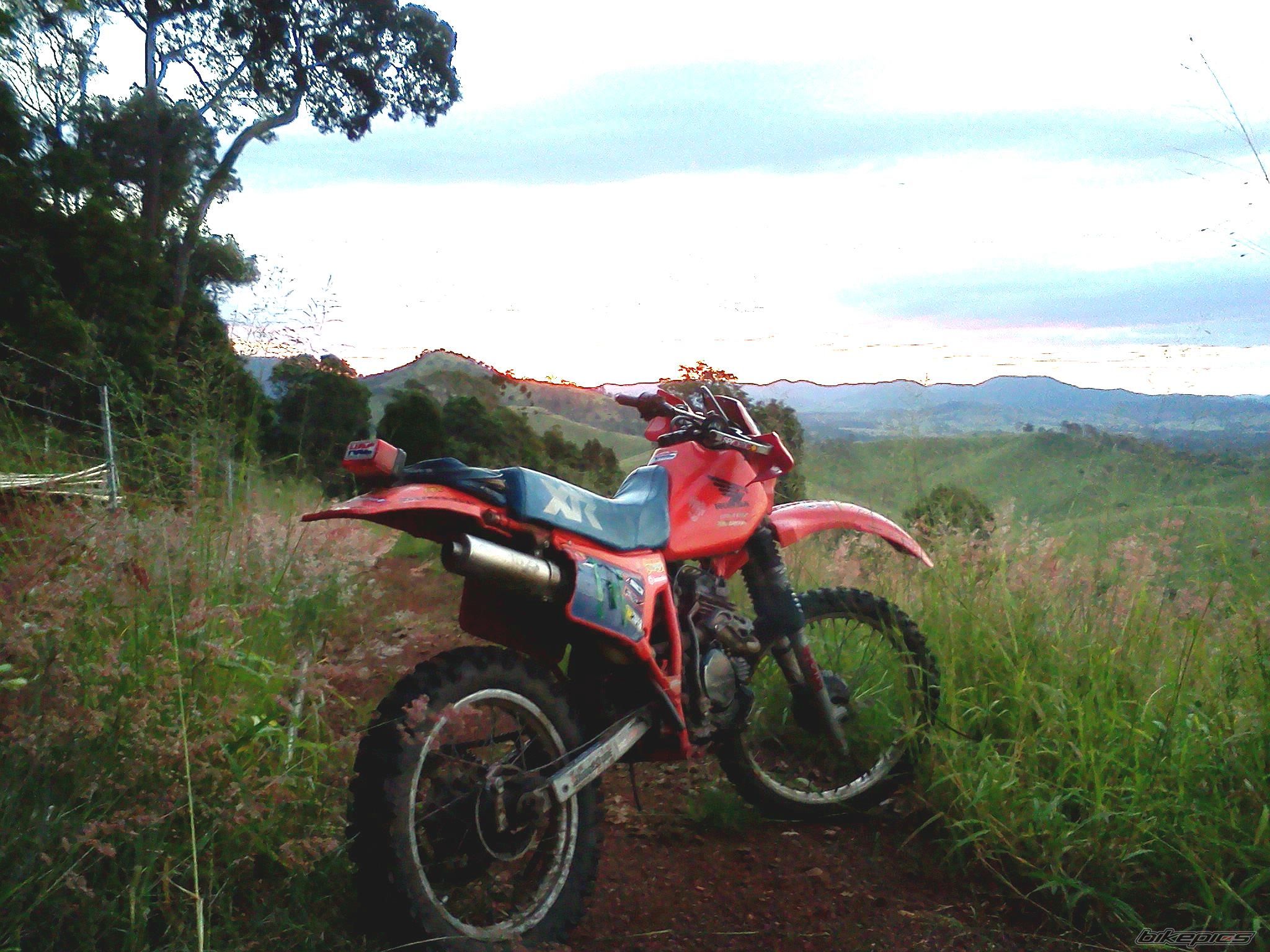 Photo 2603591