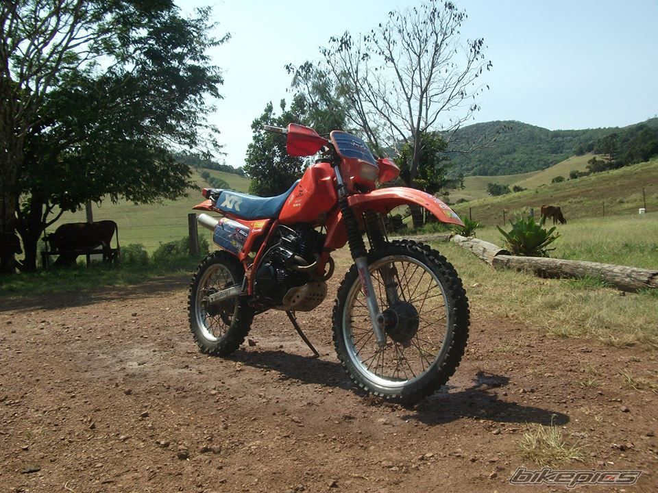 Photo 2603592