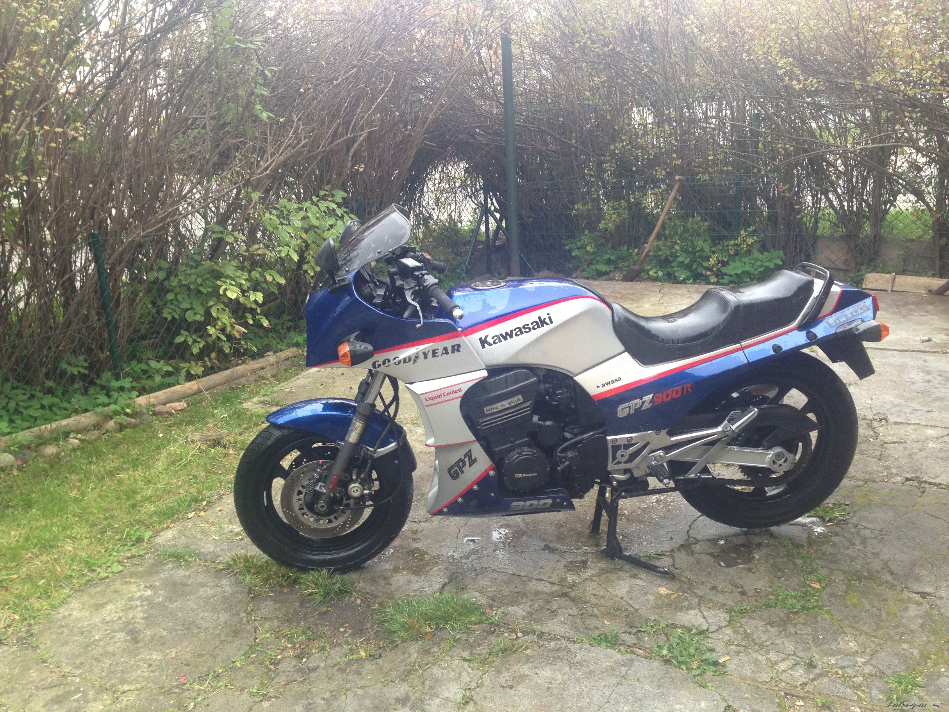 Photo 2603683
