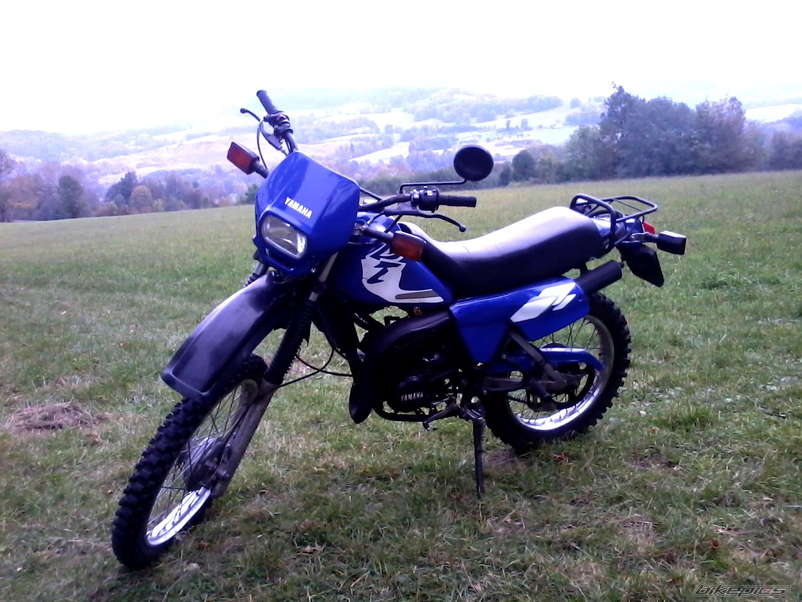 Photo 2603702