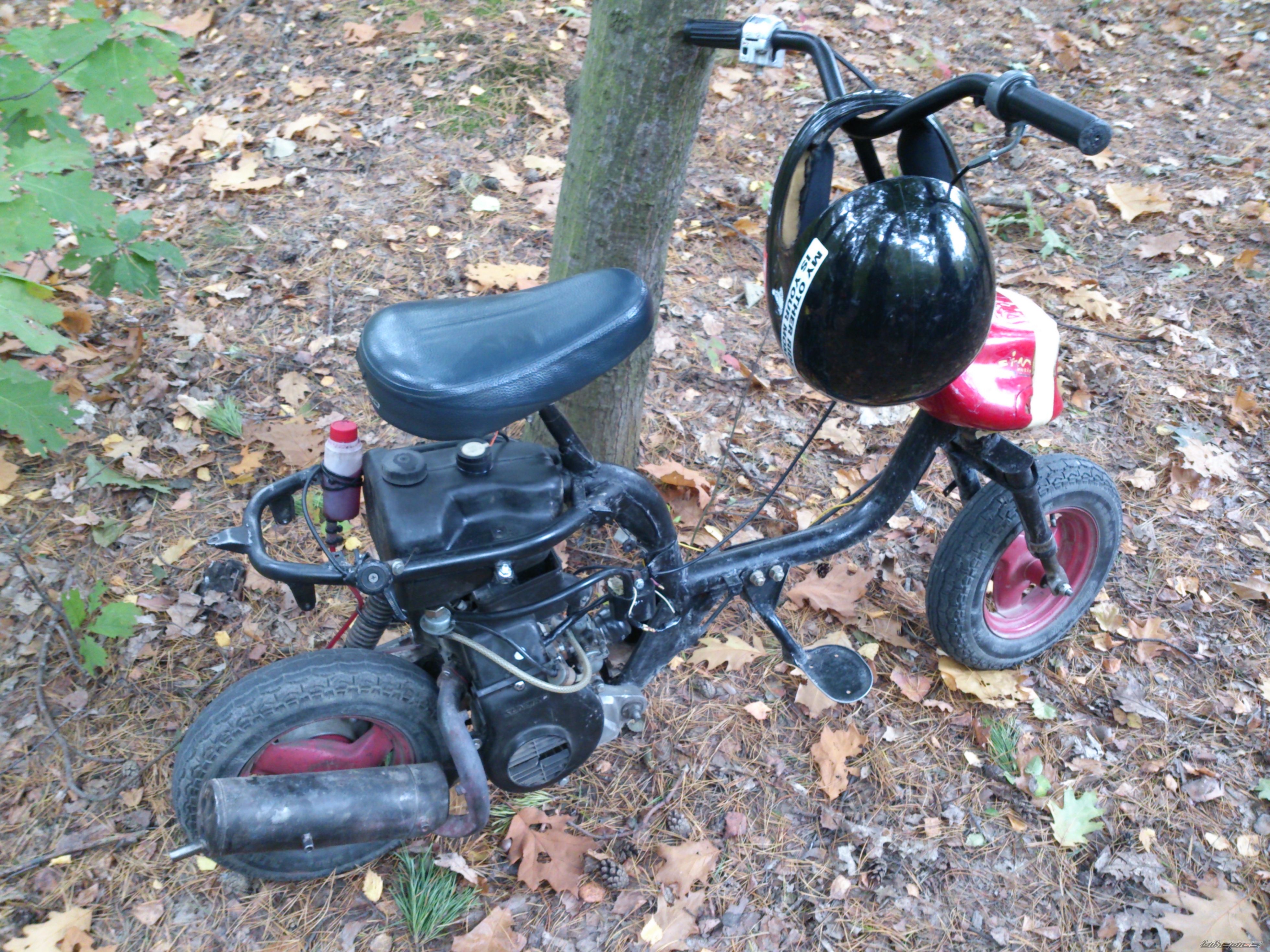 Photo 2603761