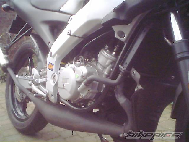 Photo 260378