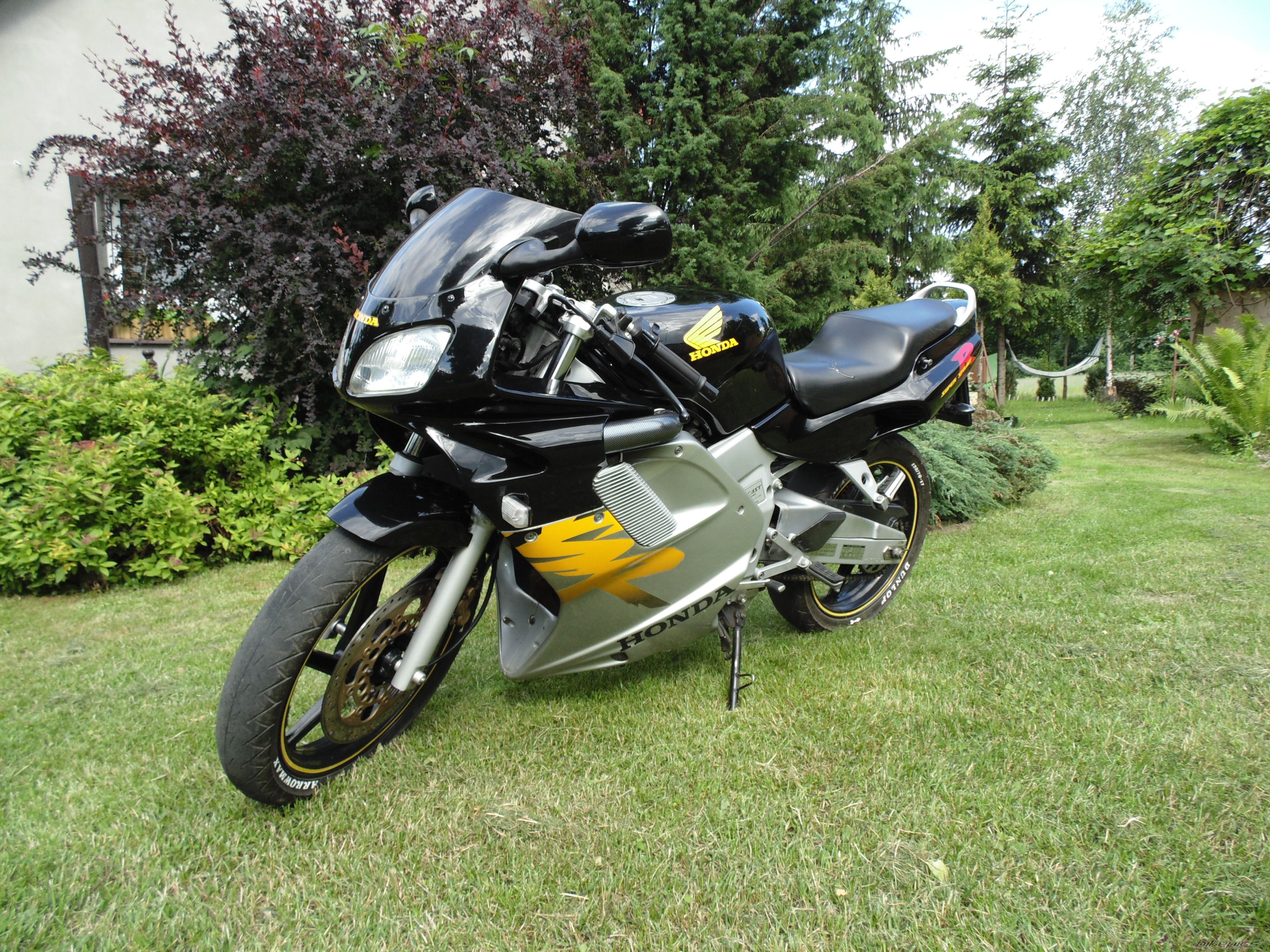 Photo 2603796