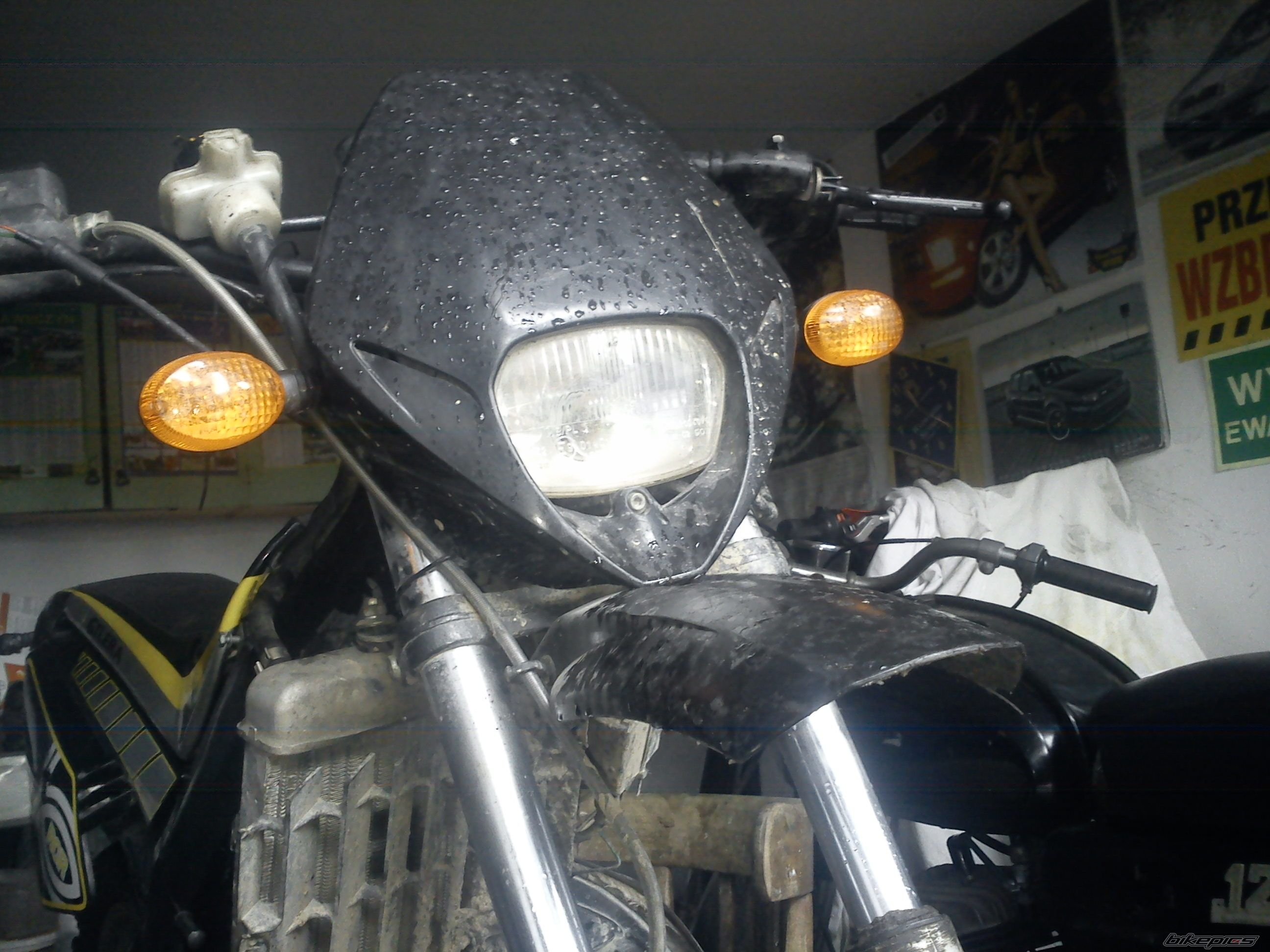 Photo 2603798