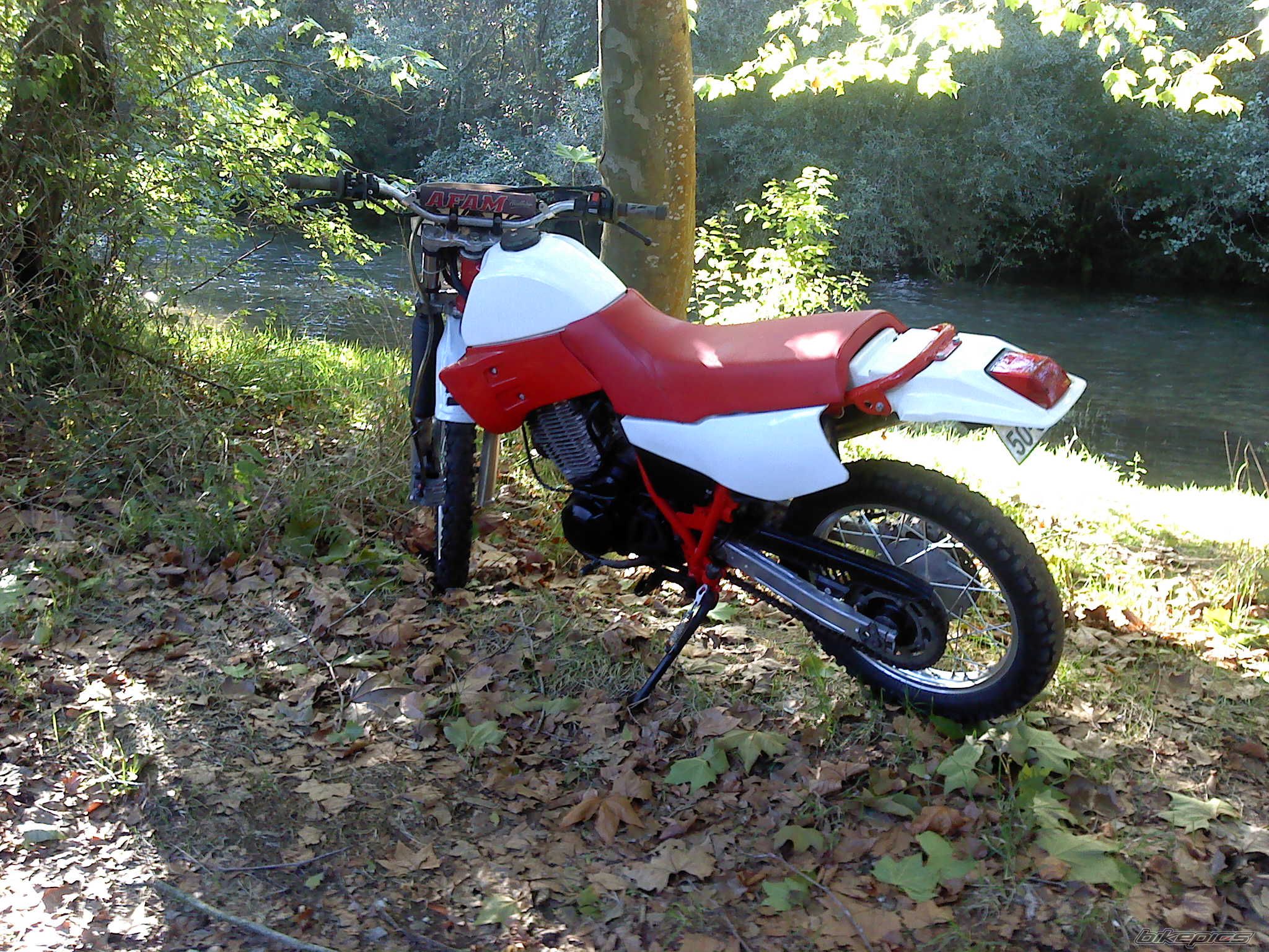 Photo 2603828
