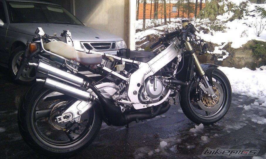 Photo 2603831