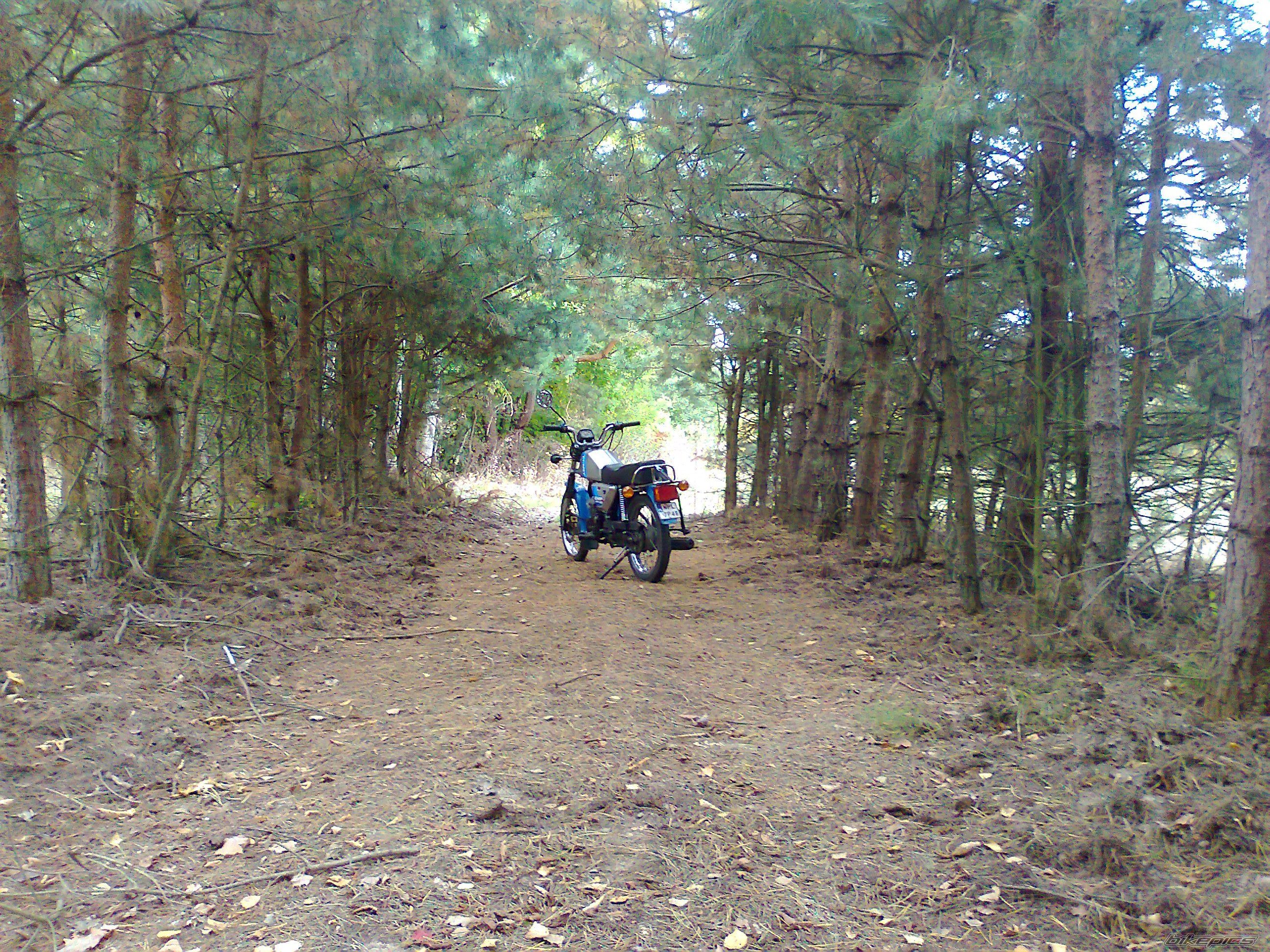 Photo 2604161