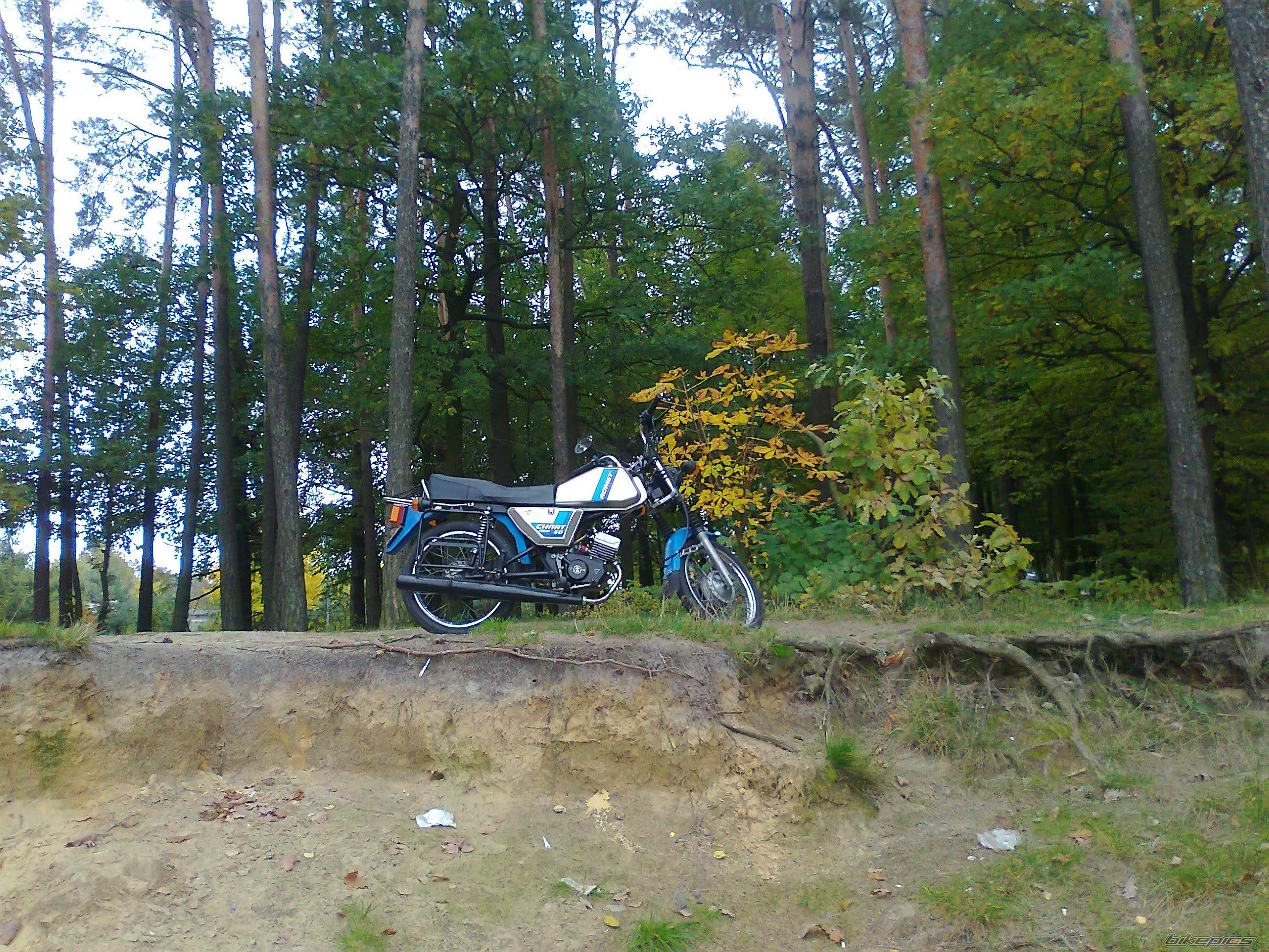 Photo 2604173