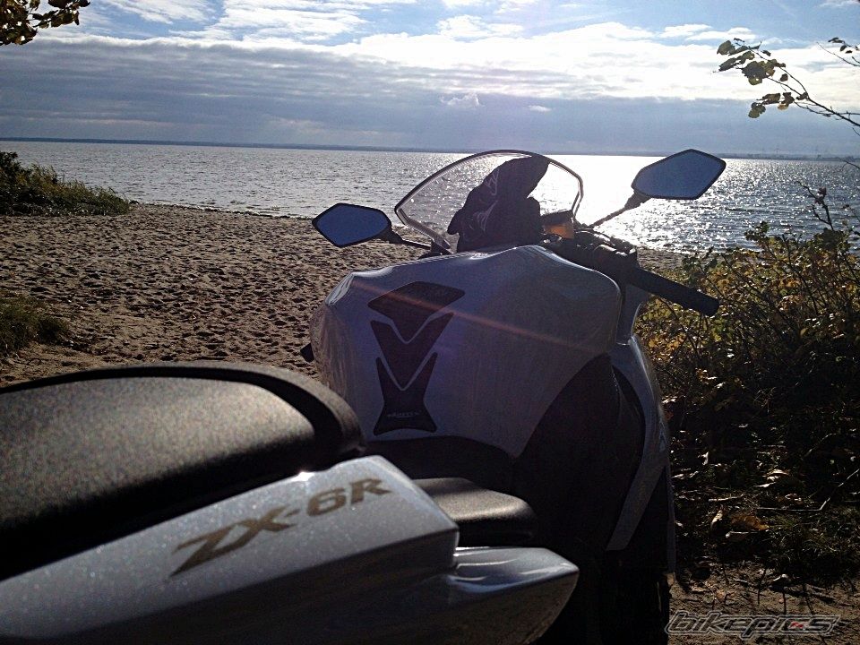 Photo 2604216