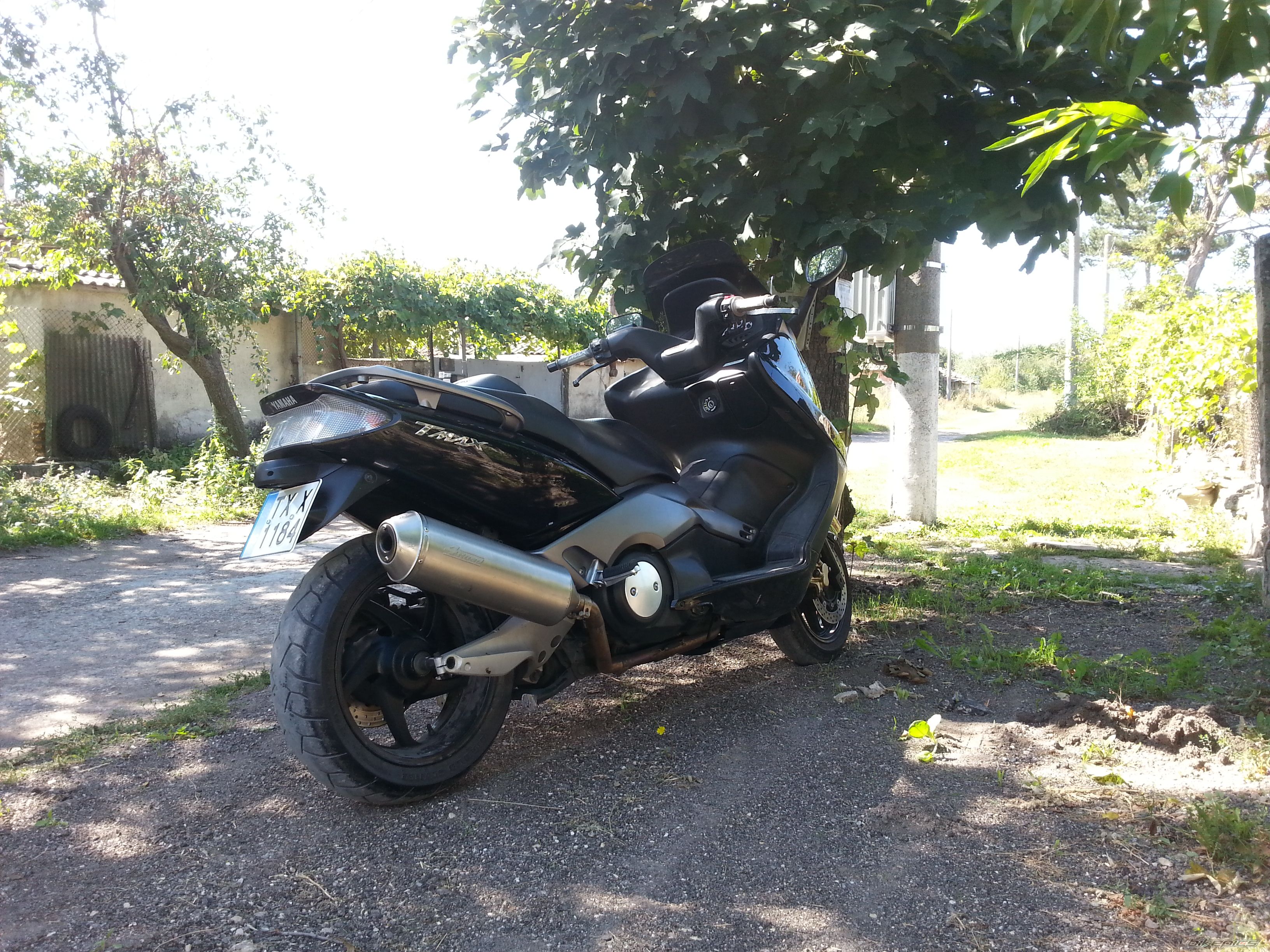 Photo 2604413