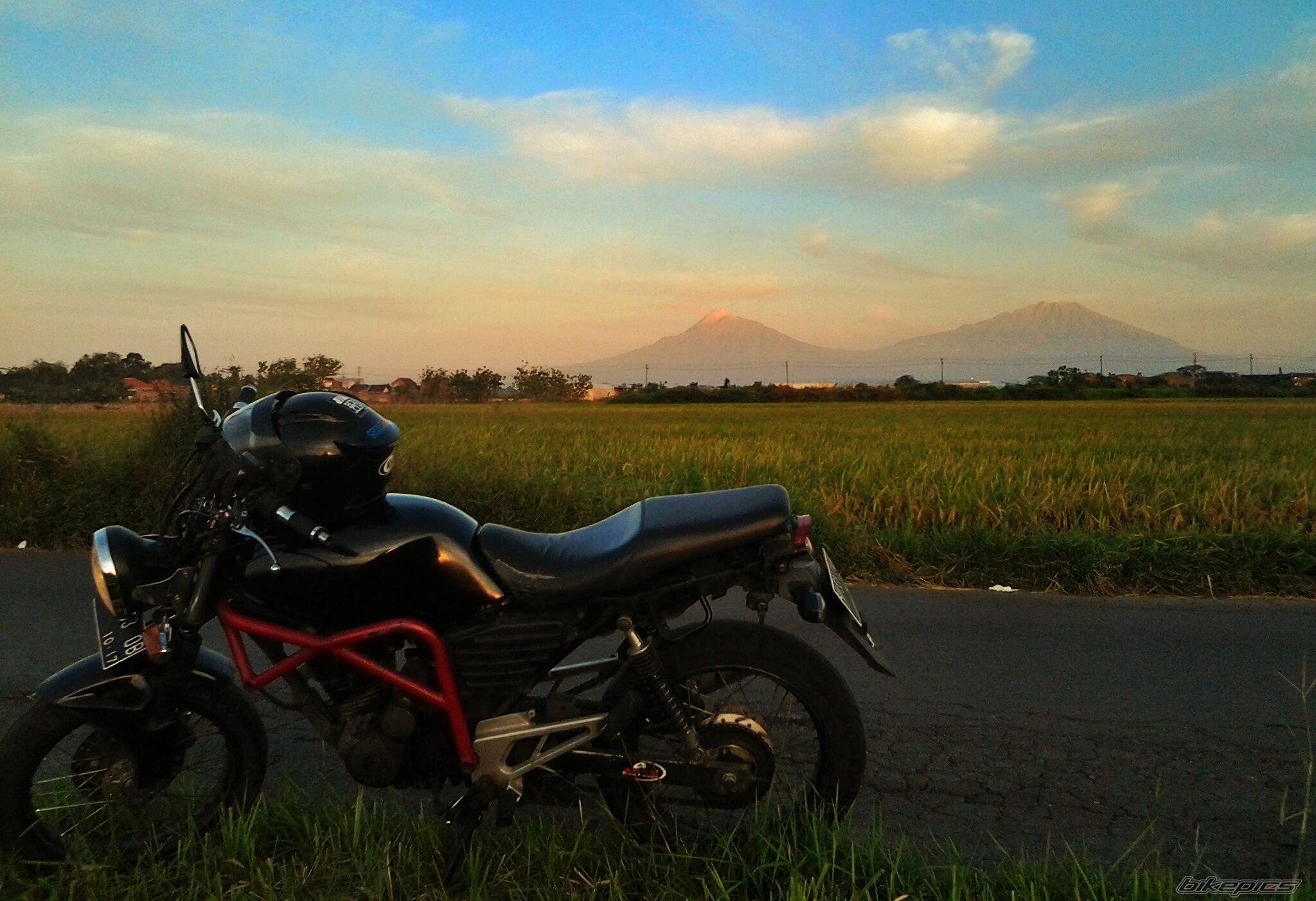 Photo 2604455