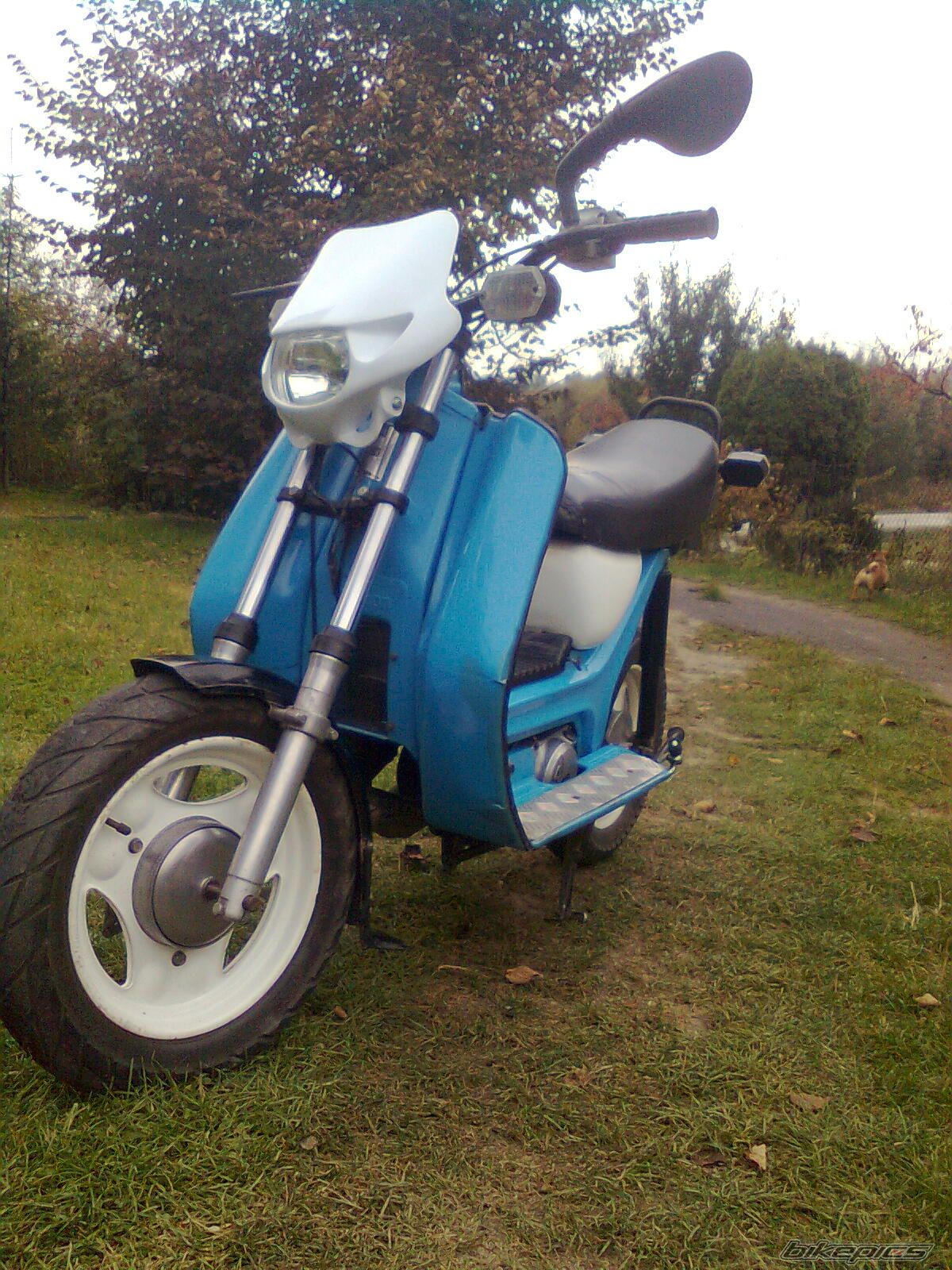 Photo 2604537