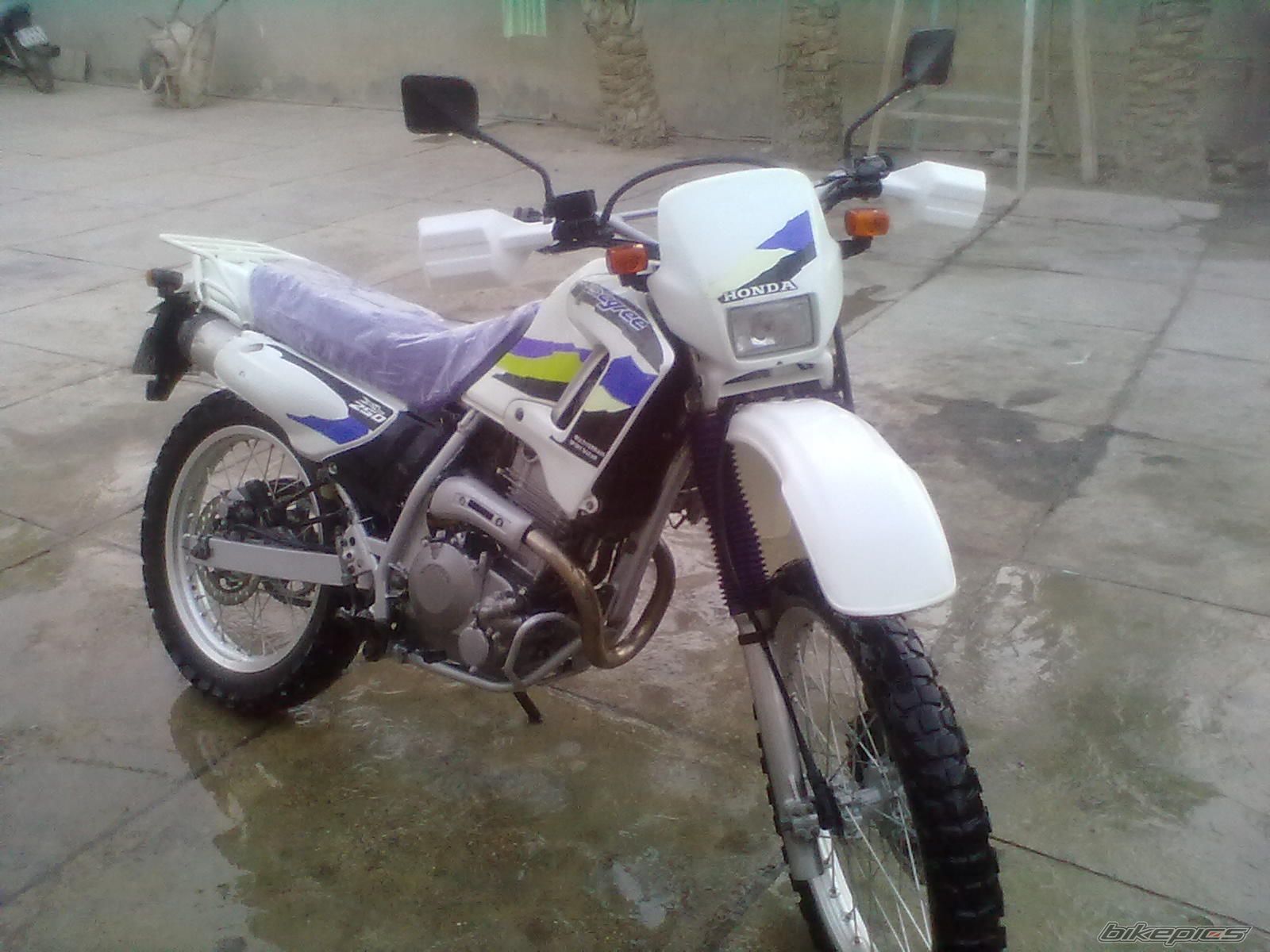 Photo 2604947