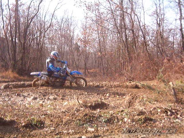 Photo 260542