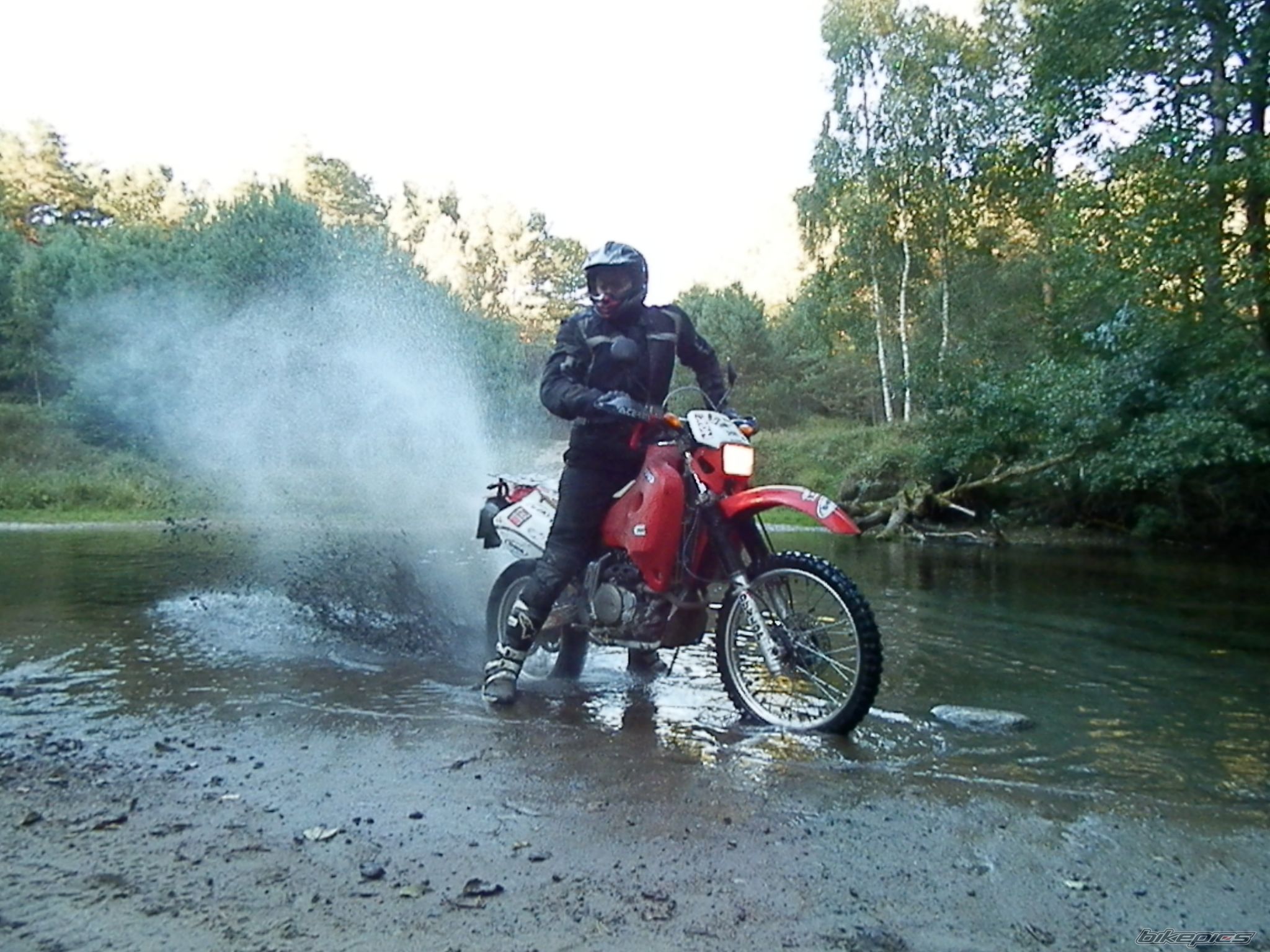 Photo 2605456