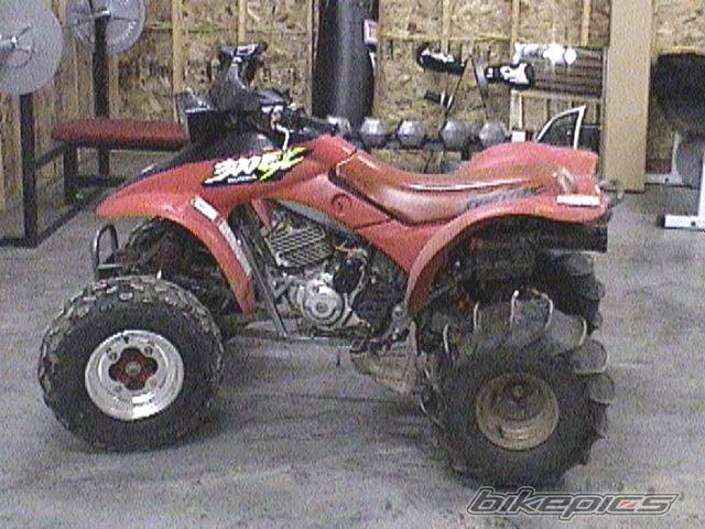 Photo 260548