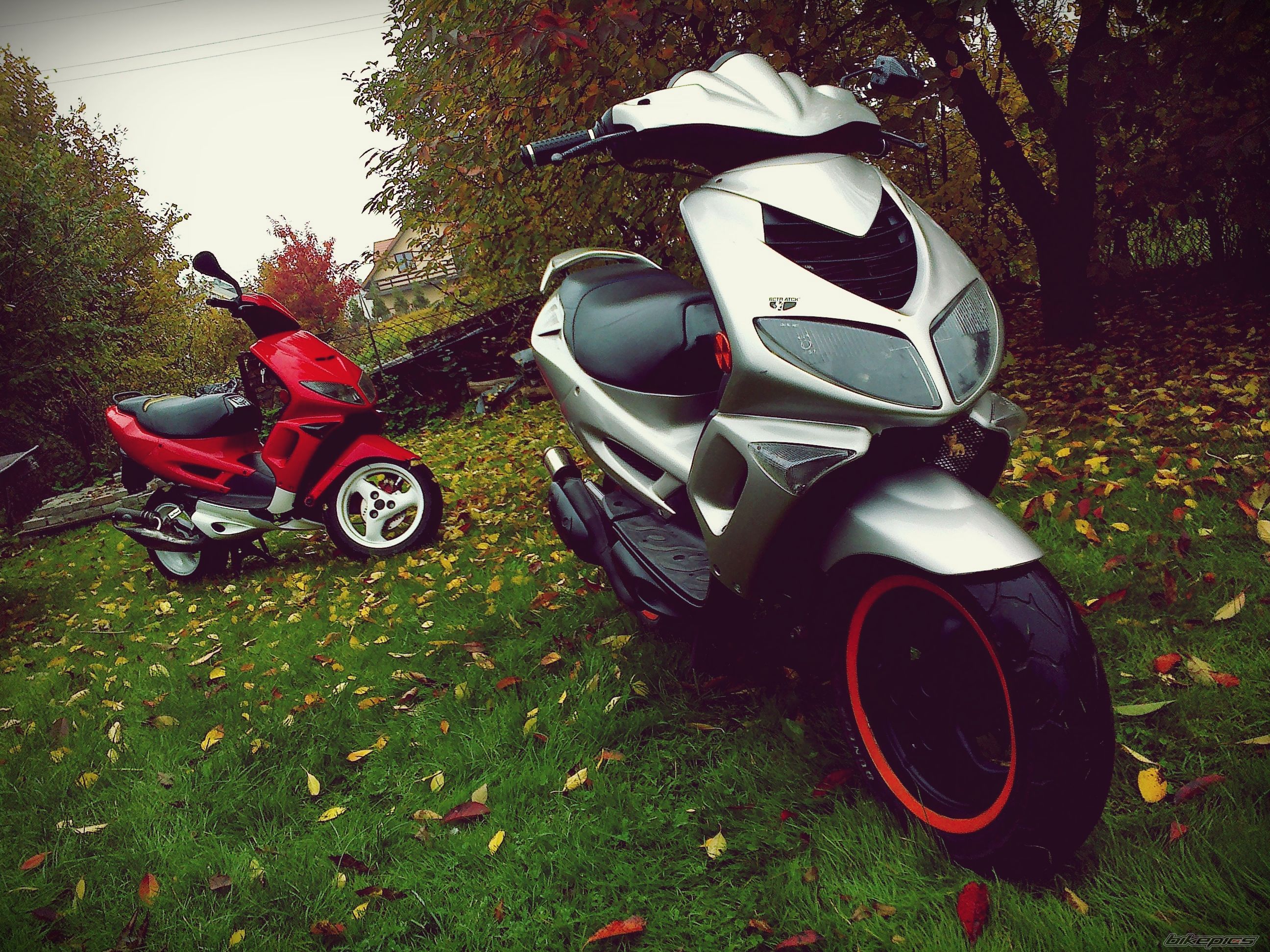 Bike Photo 2605490