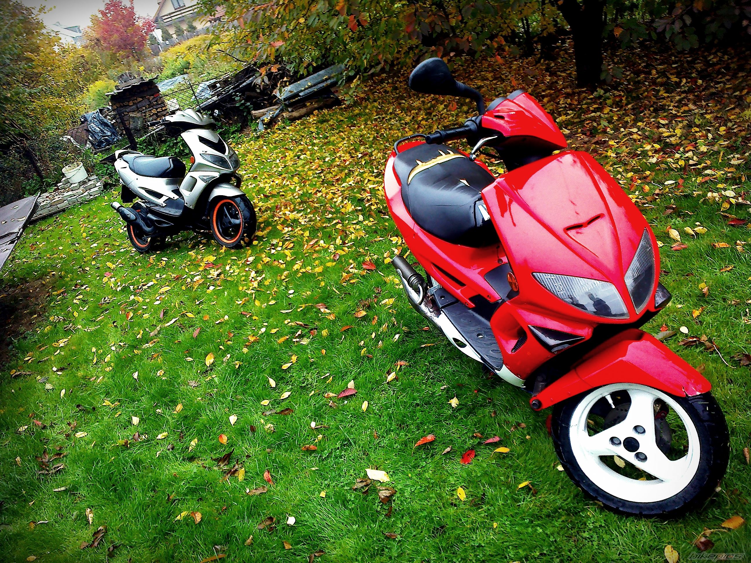 Bike Photo 2605497