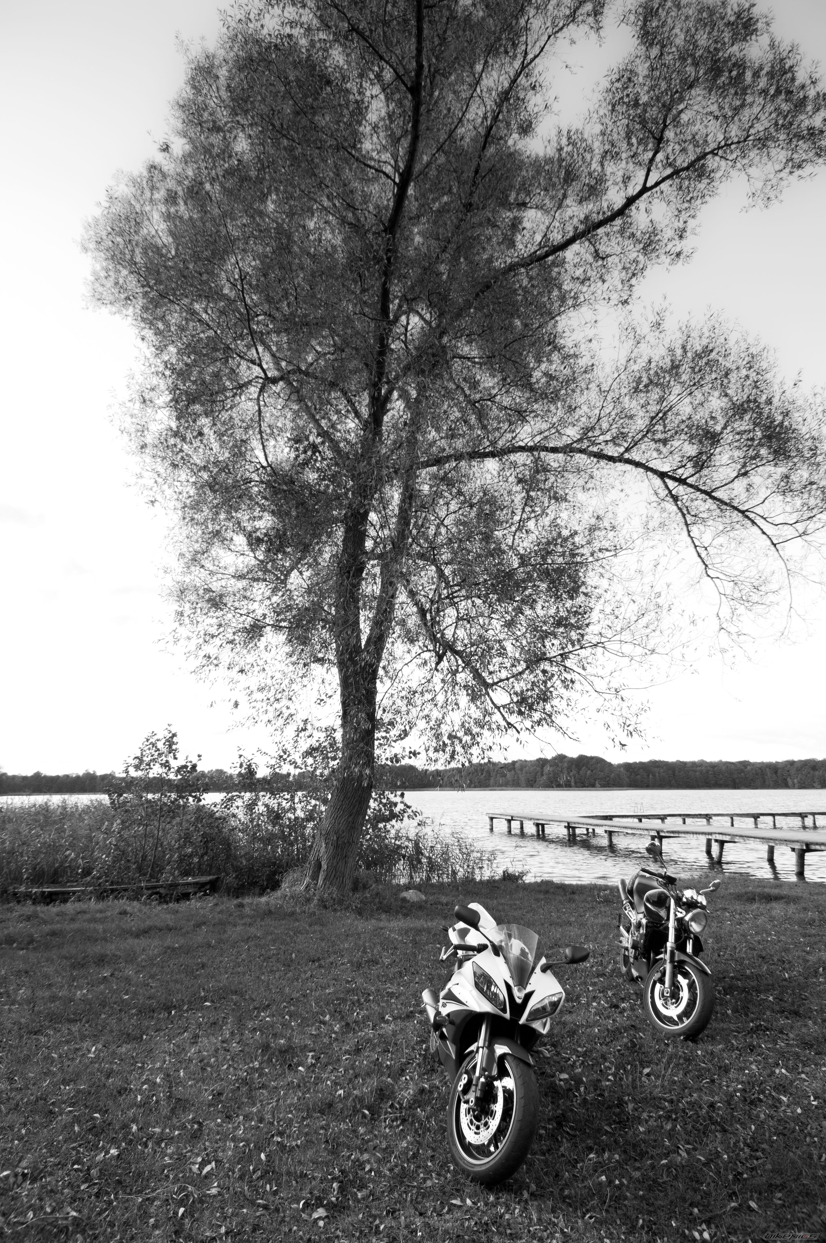 Photo 2605520