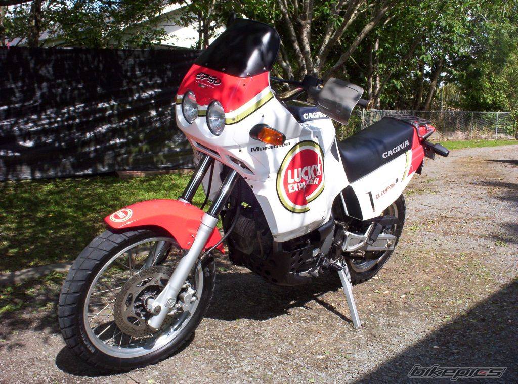 Bike Photo 260556