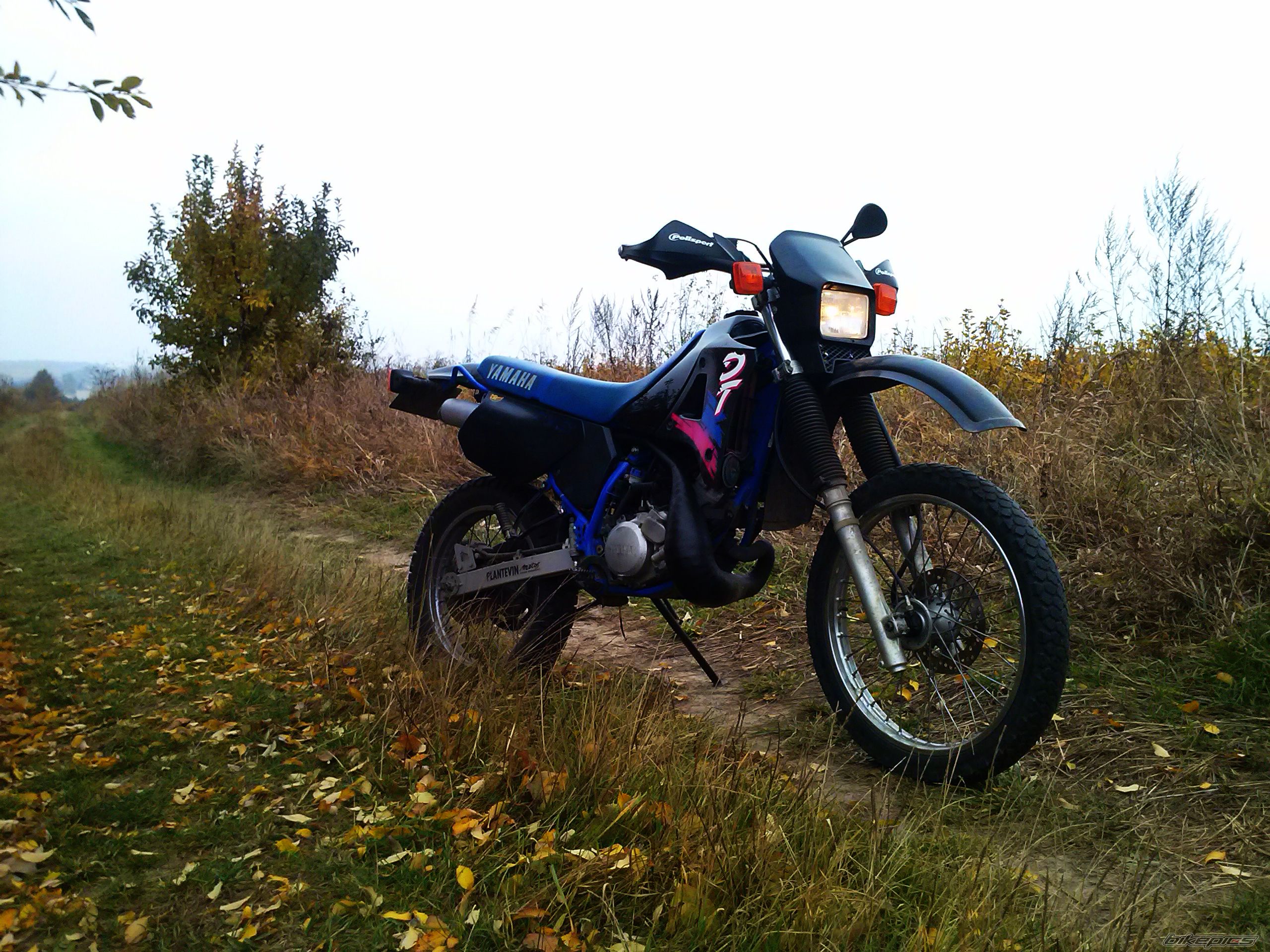 Photo 2605601