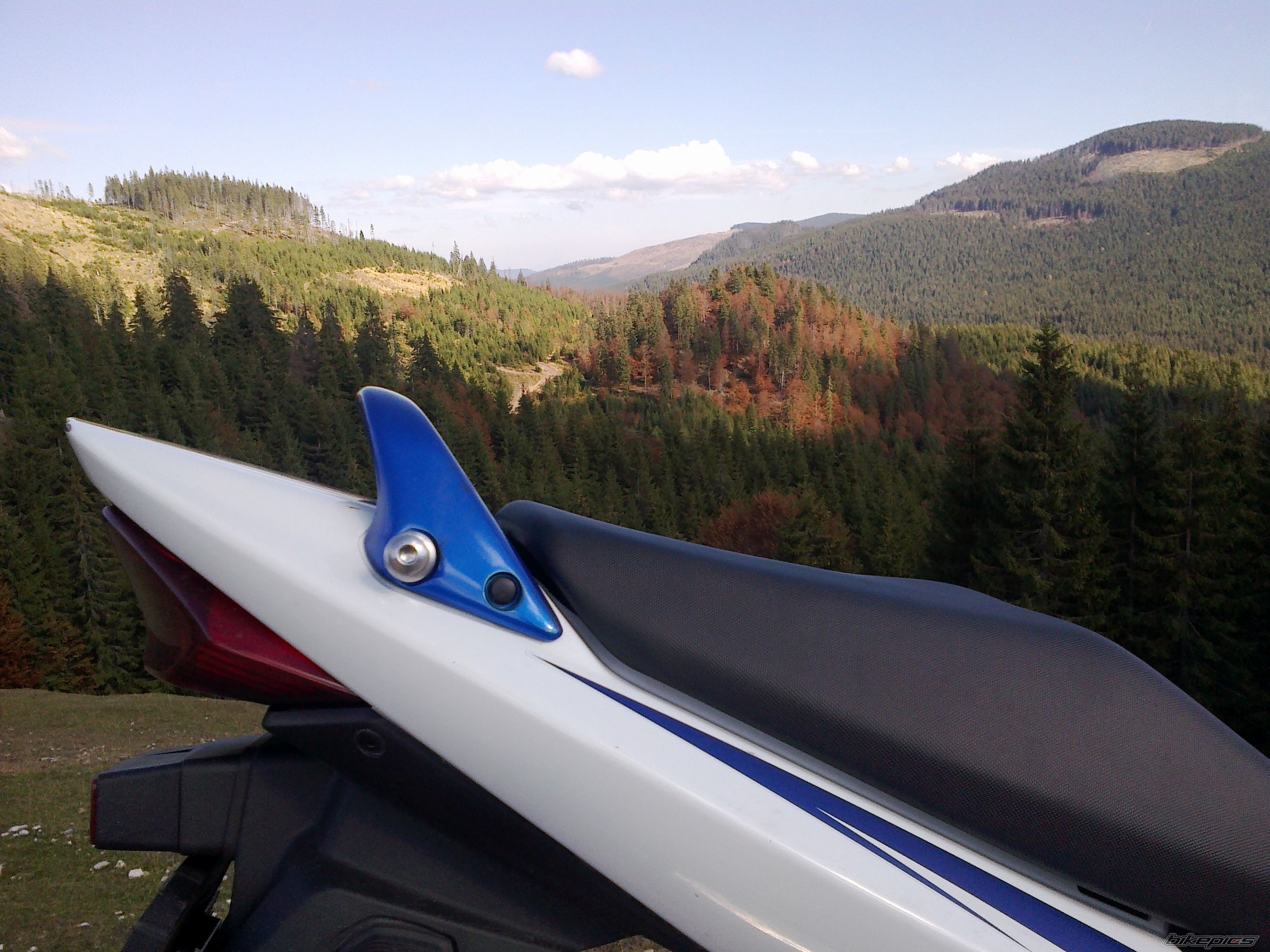 Photo 2605691