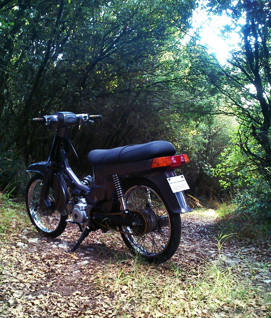 Photo 2605730
