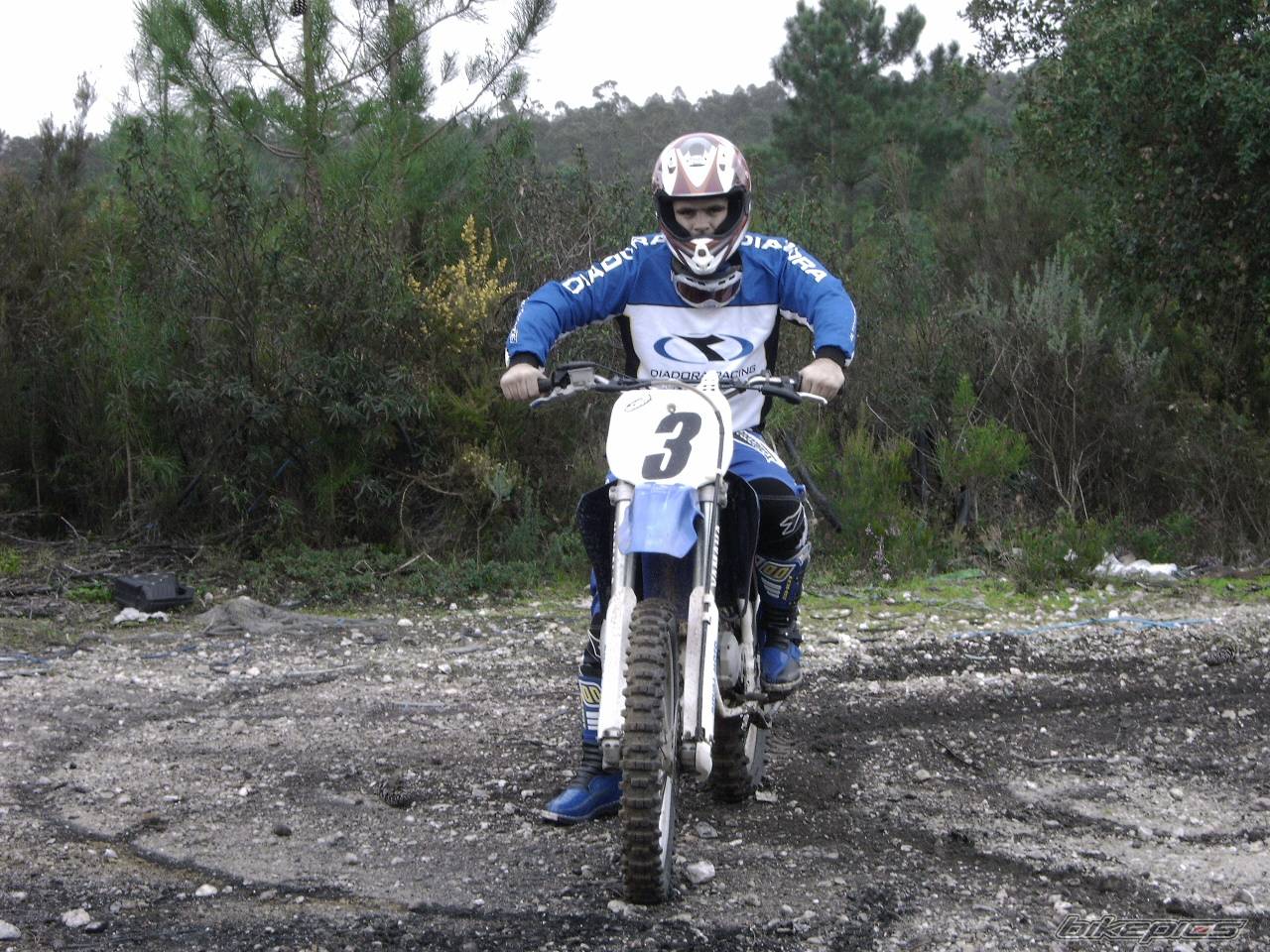 Bike Photo 260581