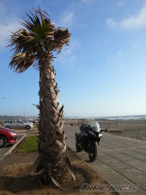 Photo 2605830