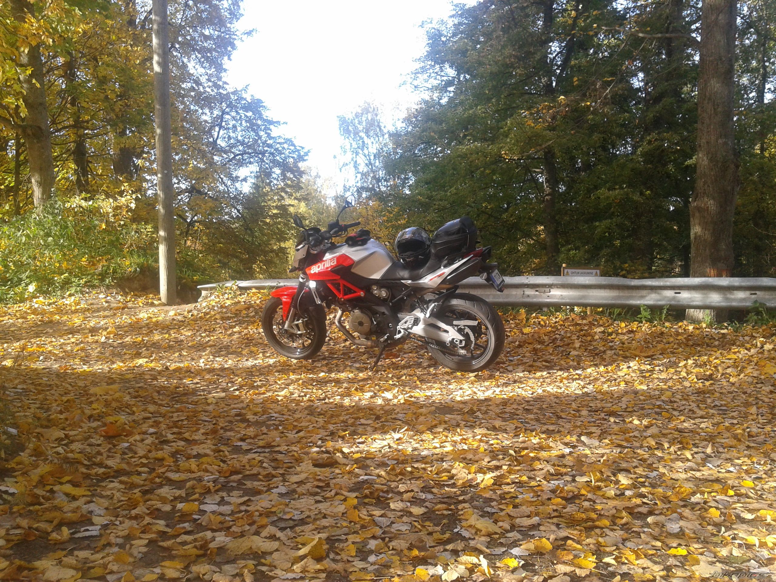 Photo 2605887