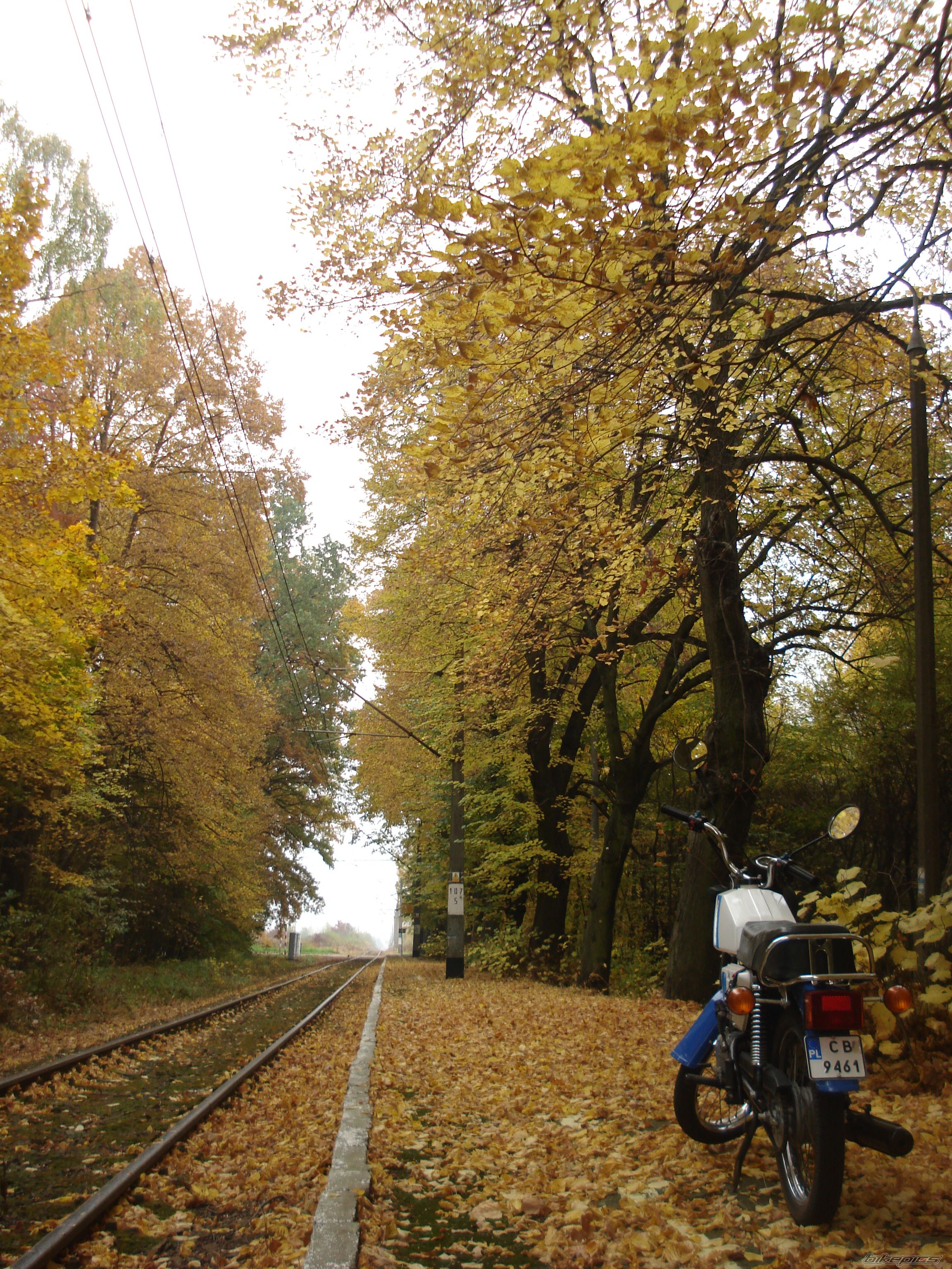 Photo 2605925