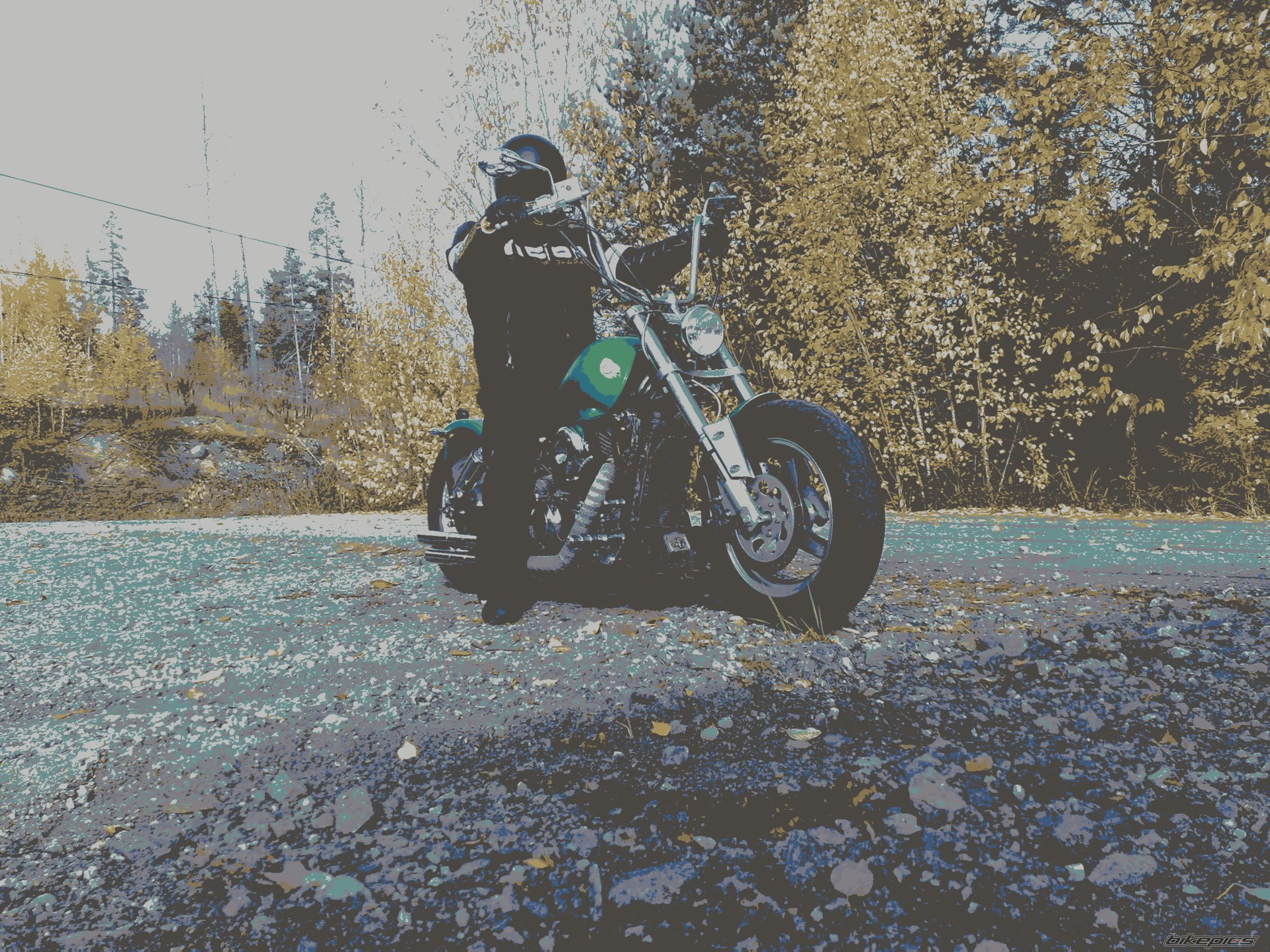 Photo 2606242