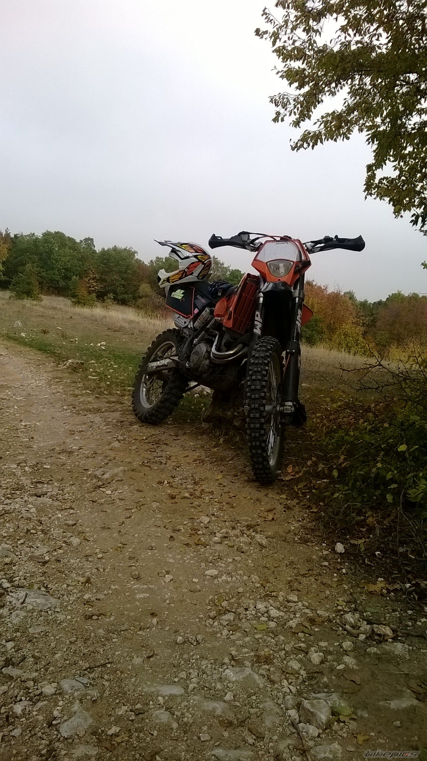 Photo 2606366