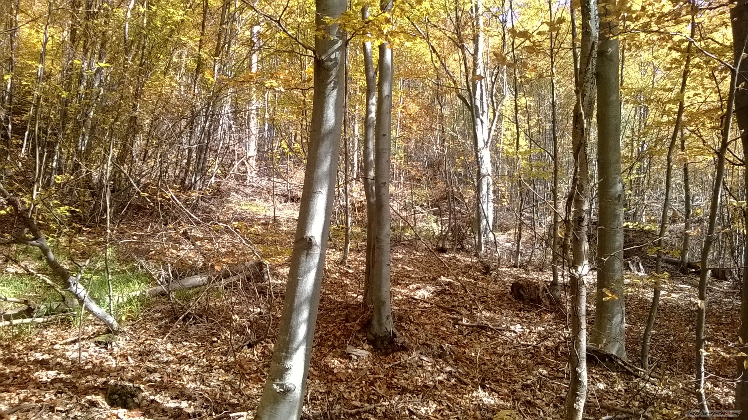 Photo 2606413
