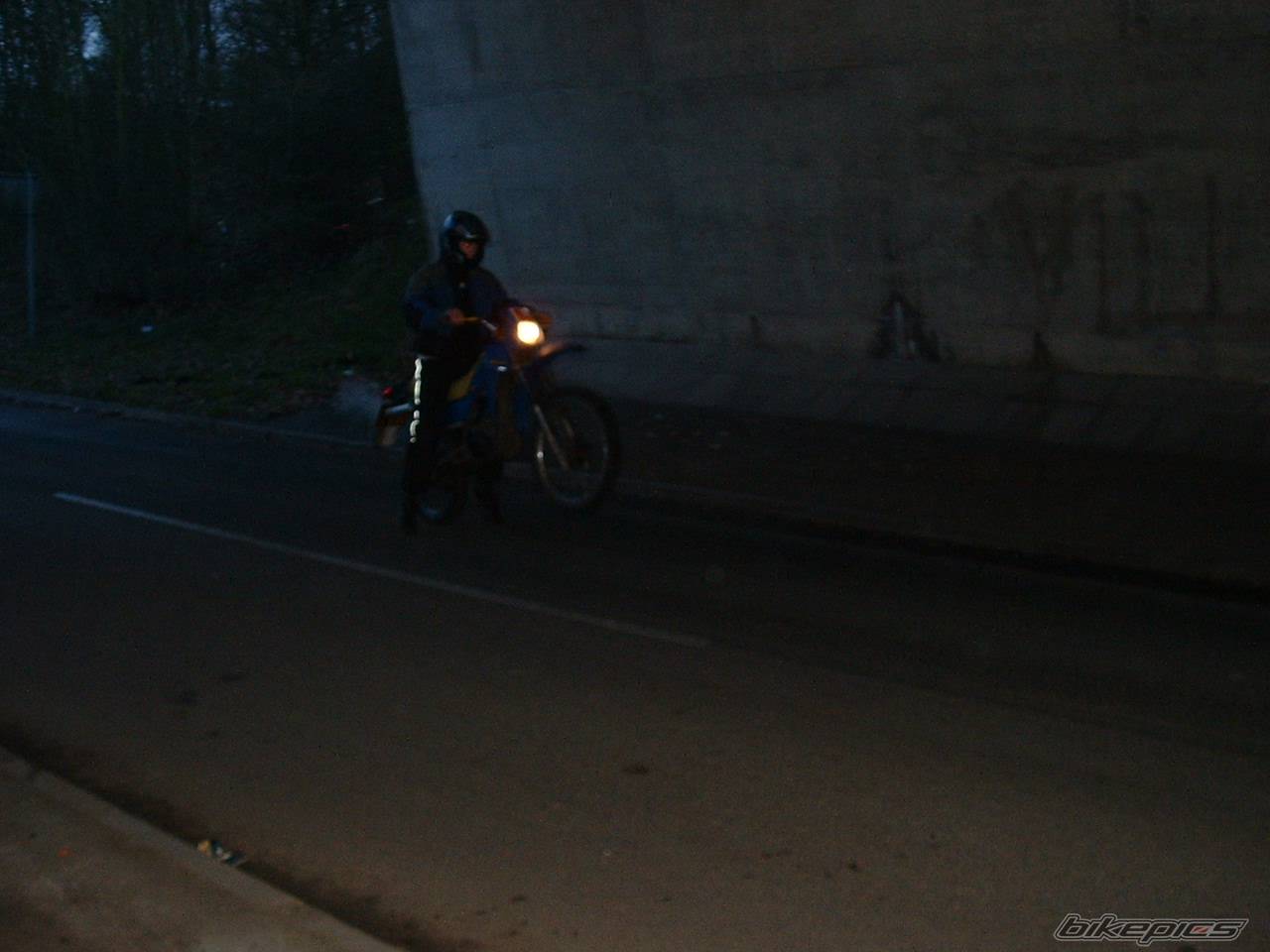 Photo 260642