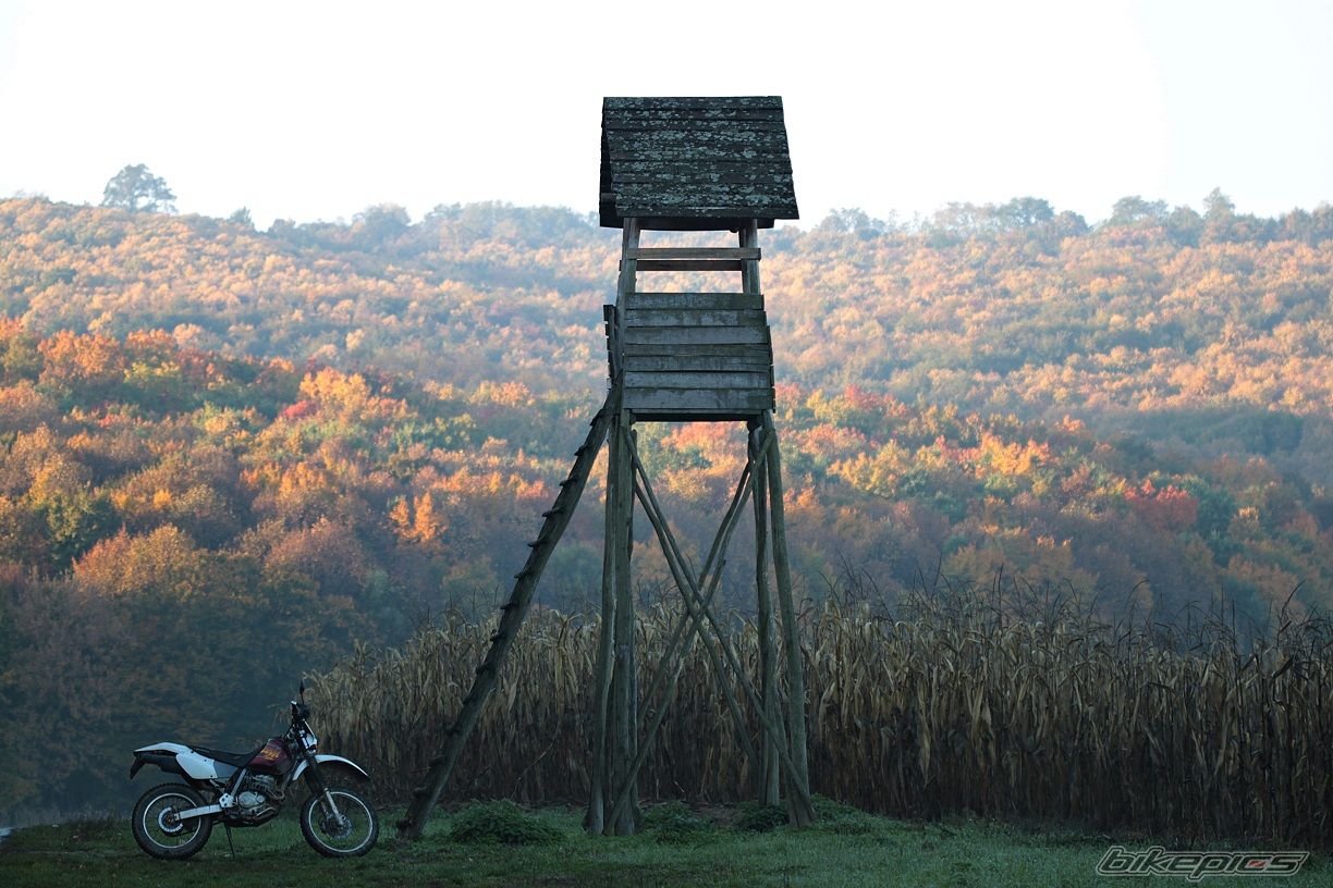 Bike Photo 2606612