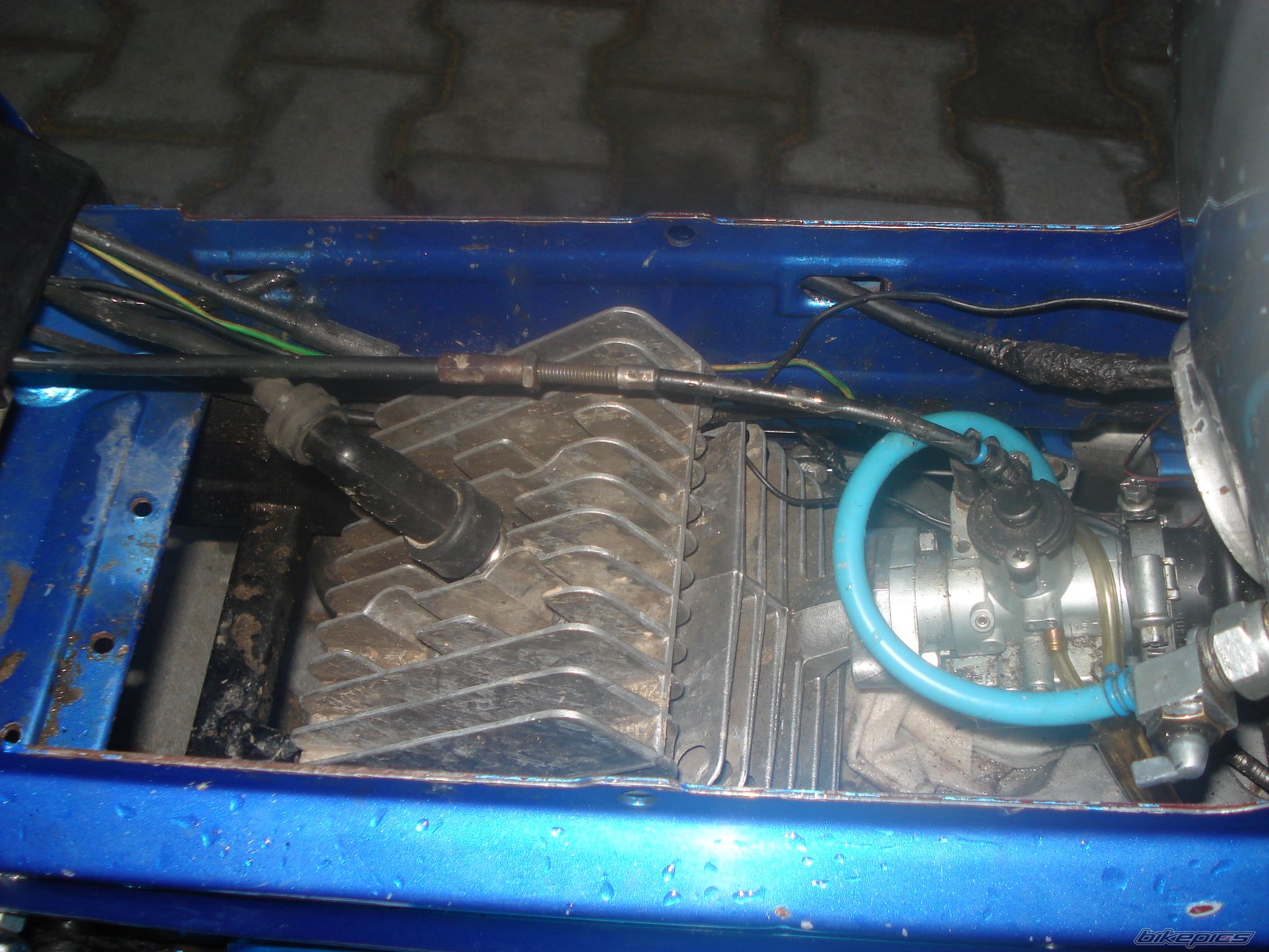 Photo 2606668