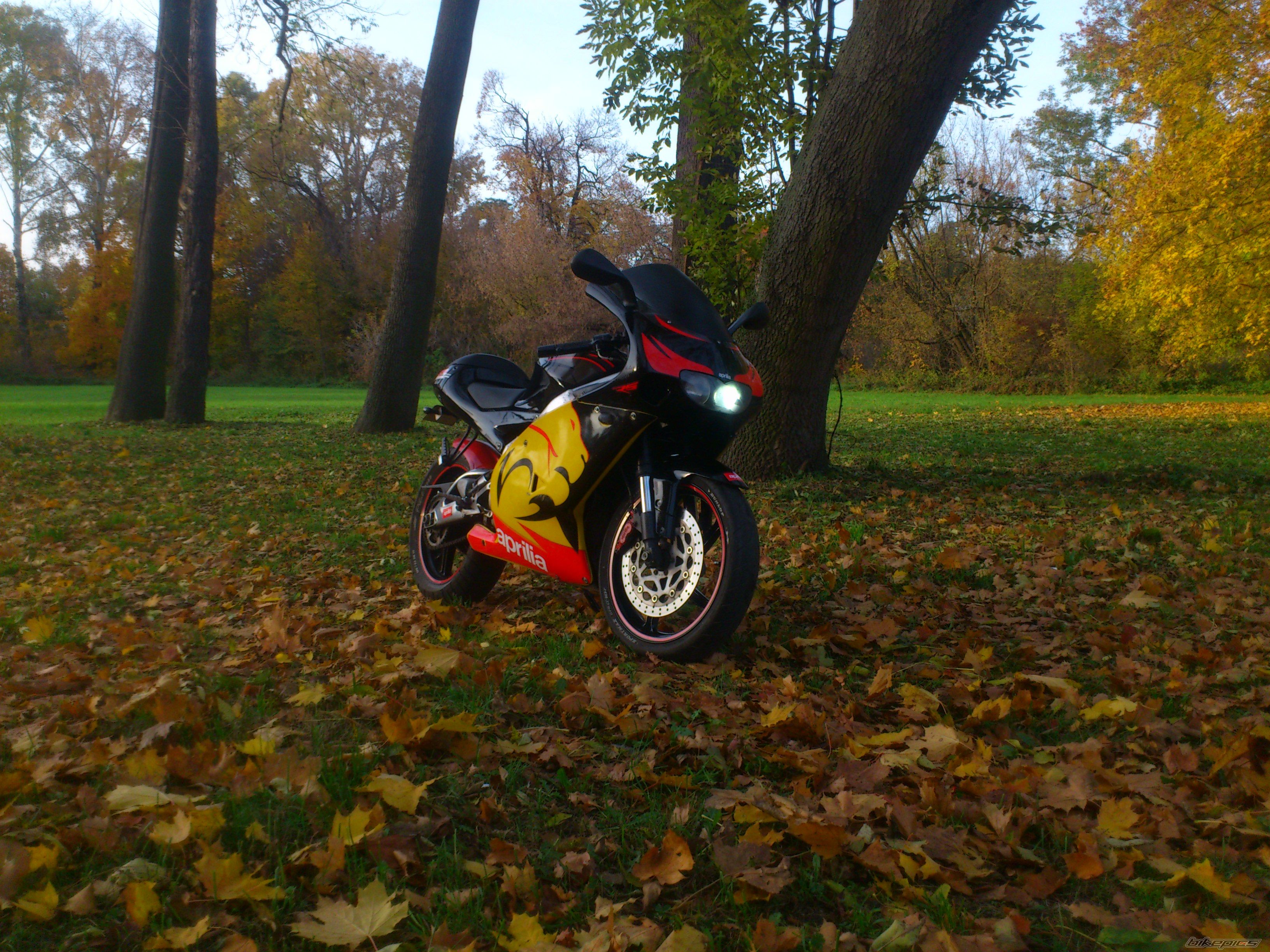 Bike Photo 2606840