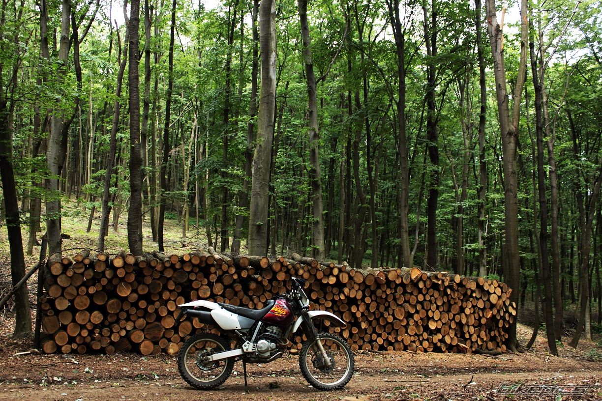 Bike Photo 2607124